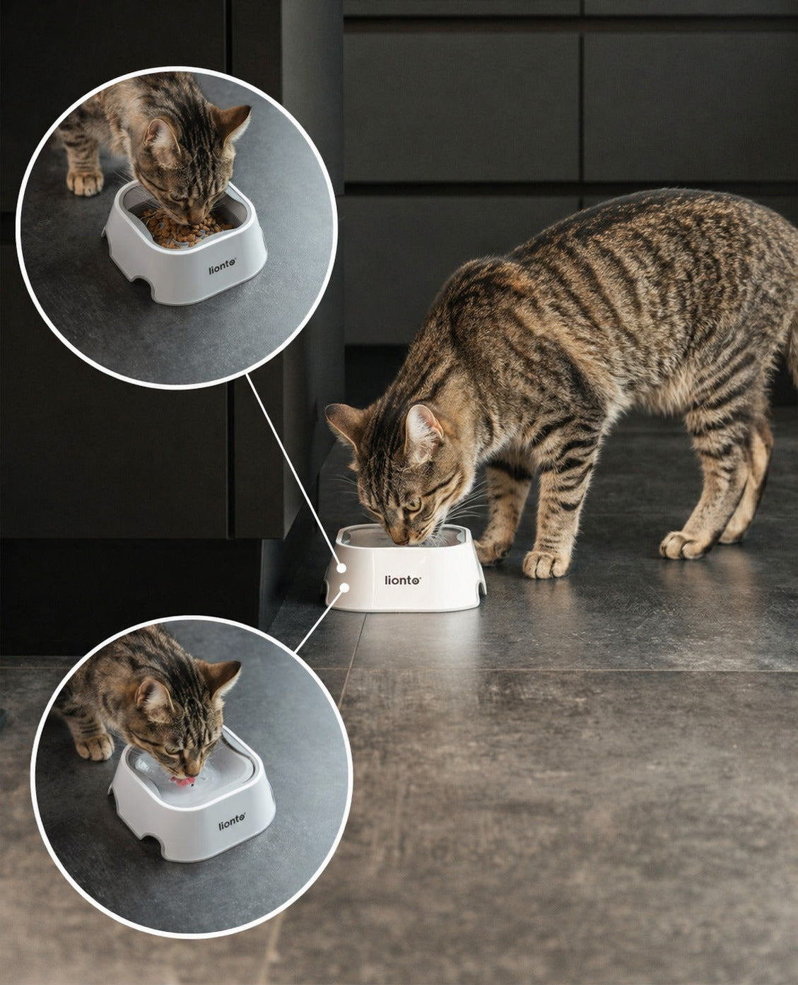 lionto Waterbak voor honden Anti-slabber Drinkbak Hondenkom lekvrij, 1 liter