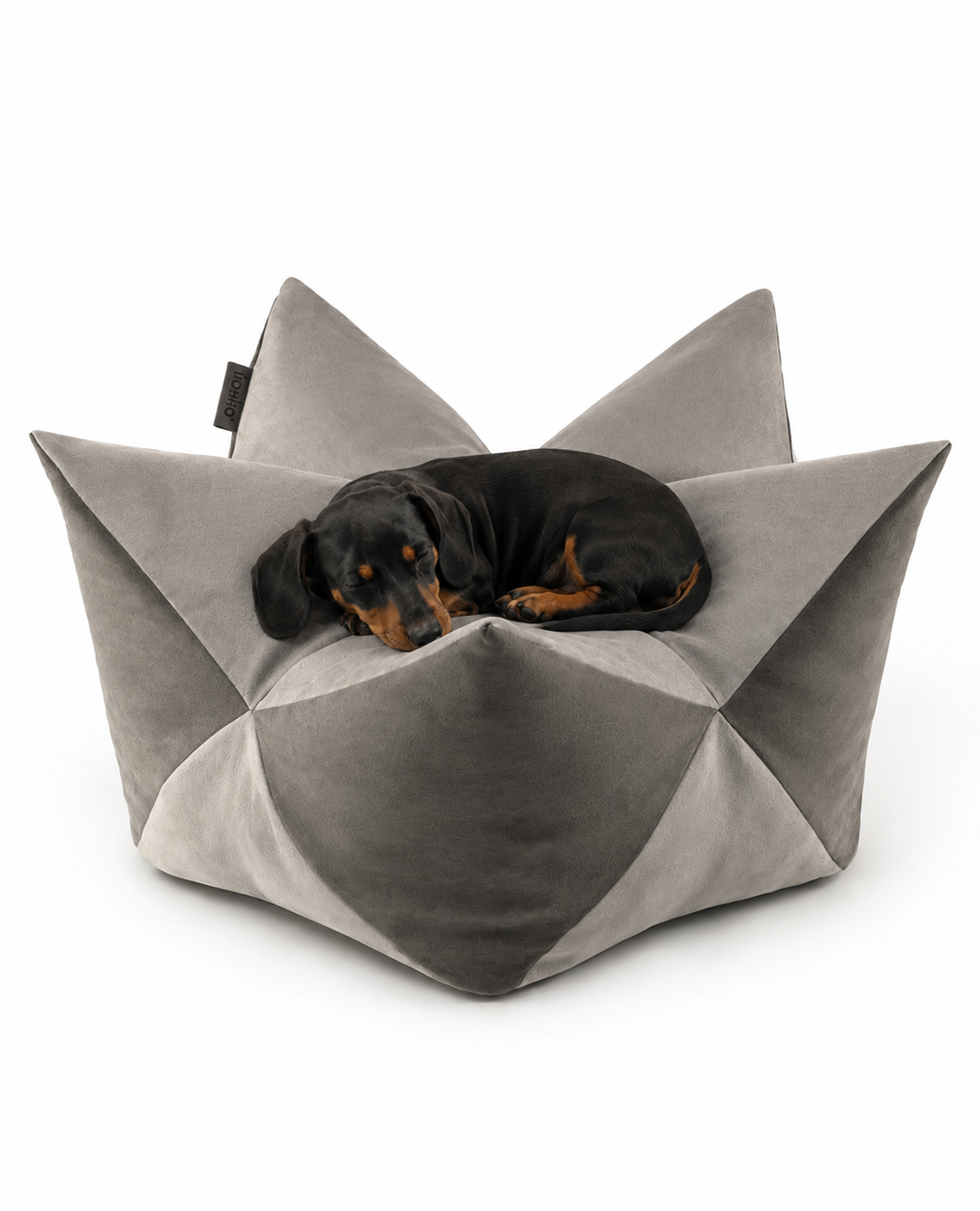 Kroonkussens voor honden
