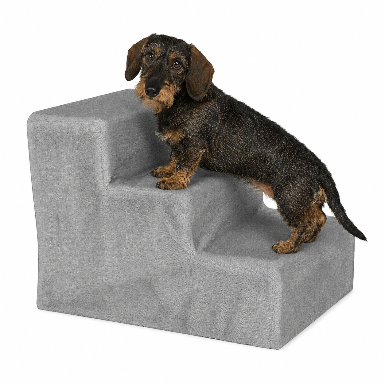 Hundetreppe mit Plüschbezug