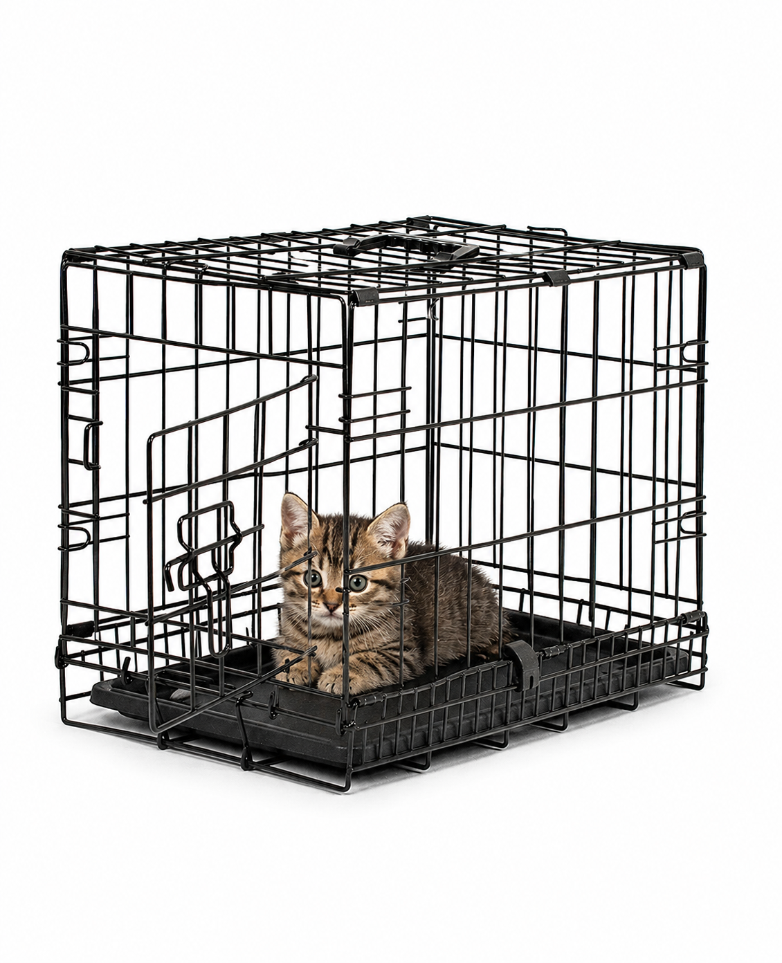 Kattentransportkooi met bodemplaat