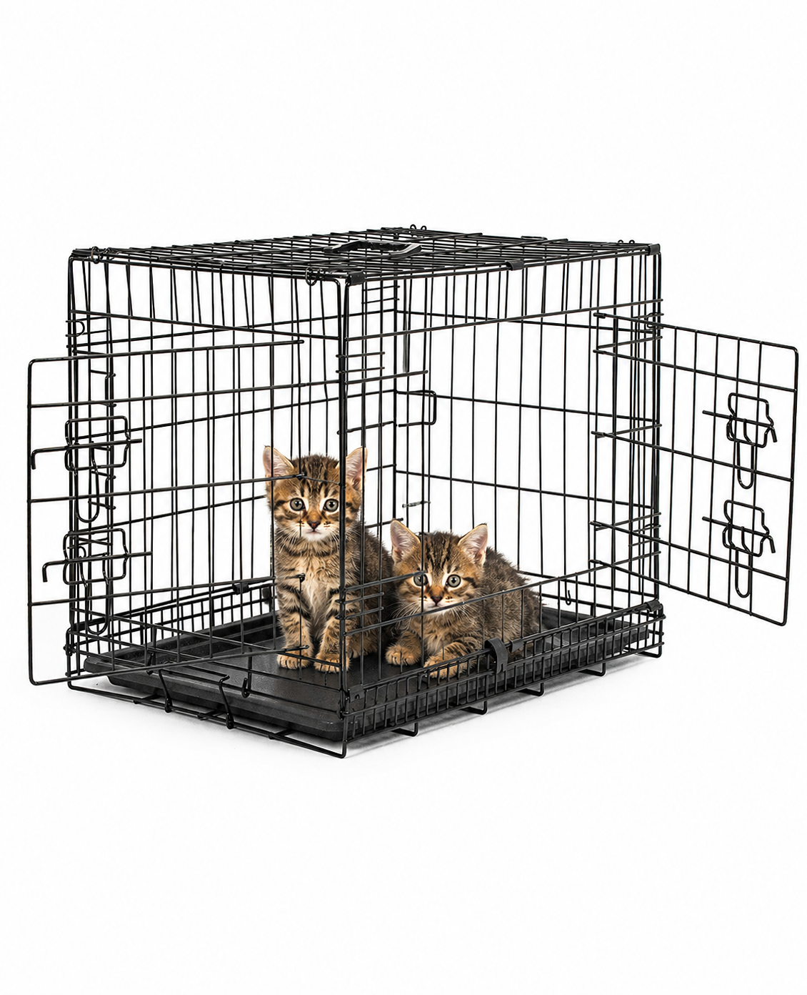 Kattentransportkooi met bodemplaat