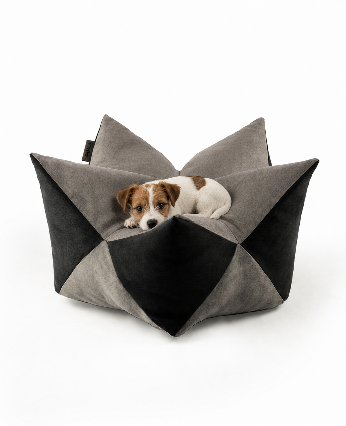 Kroonkussens voor honden