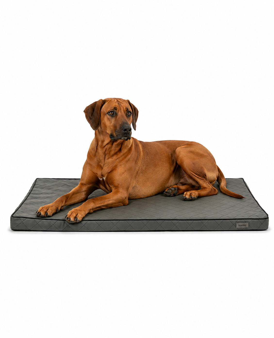 Orthopädische Hundematte