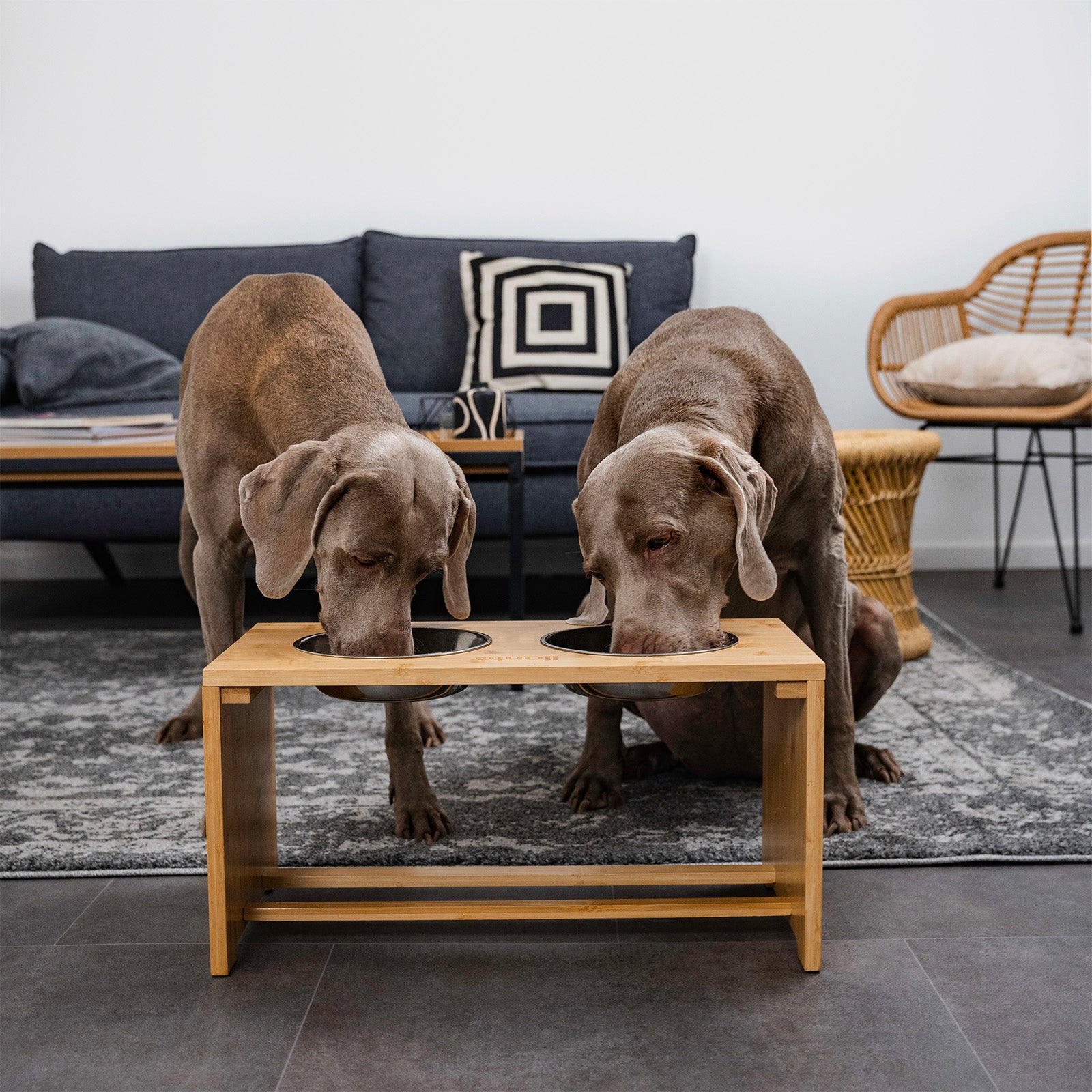 zwei Doggen fressen im Wohnzimmer aus erhöhtem Hundenapf aus Bambus und Edelstahl