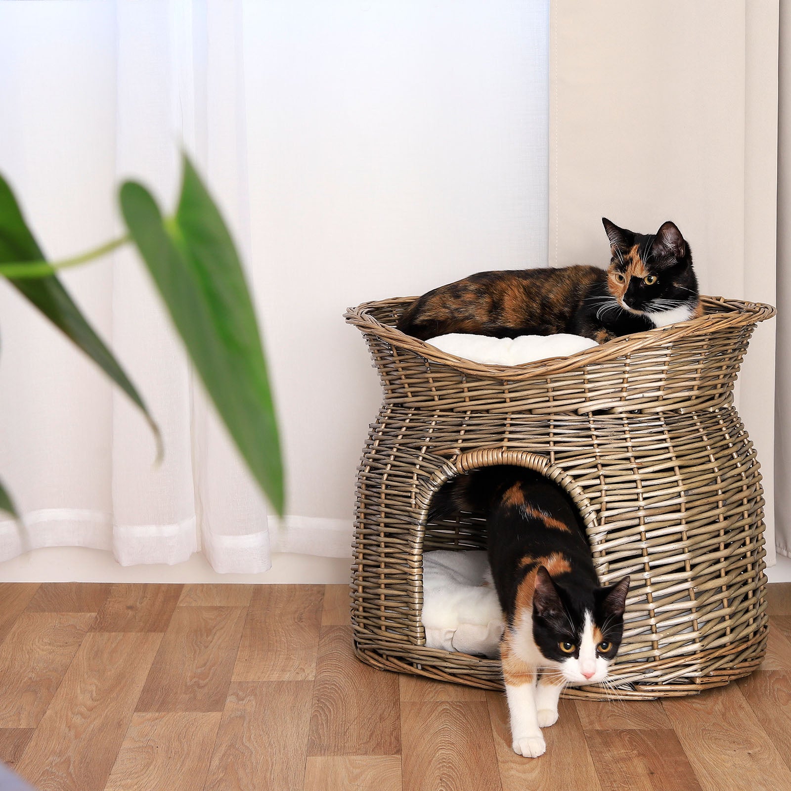 Gevlochten kattenmand wilg Kattenhol met kussen diverse kleuren 55x39x43 cm