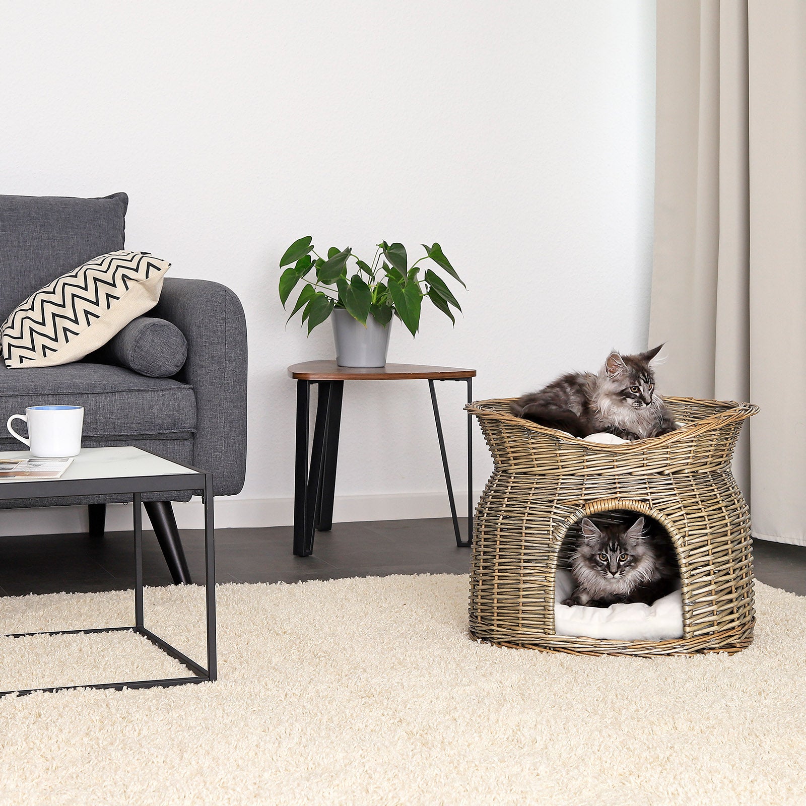 Gevlochten kattenmand wilg Kattenhol met kussen diverse kleuren 55x39x43 cm