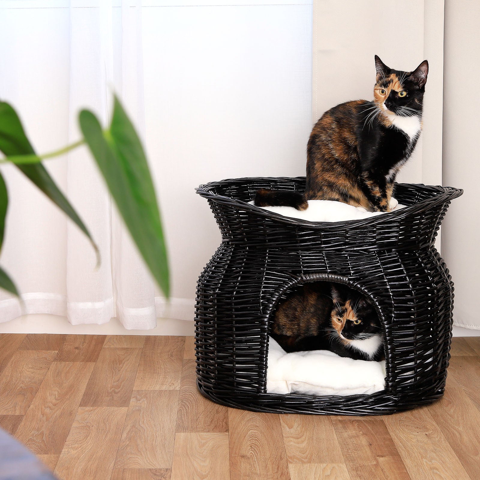 Gevlochten kattenmand wilg Kattenhol met kussen diverse kleuren 55x39x43 cm