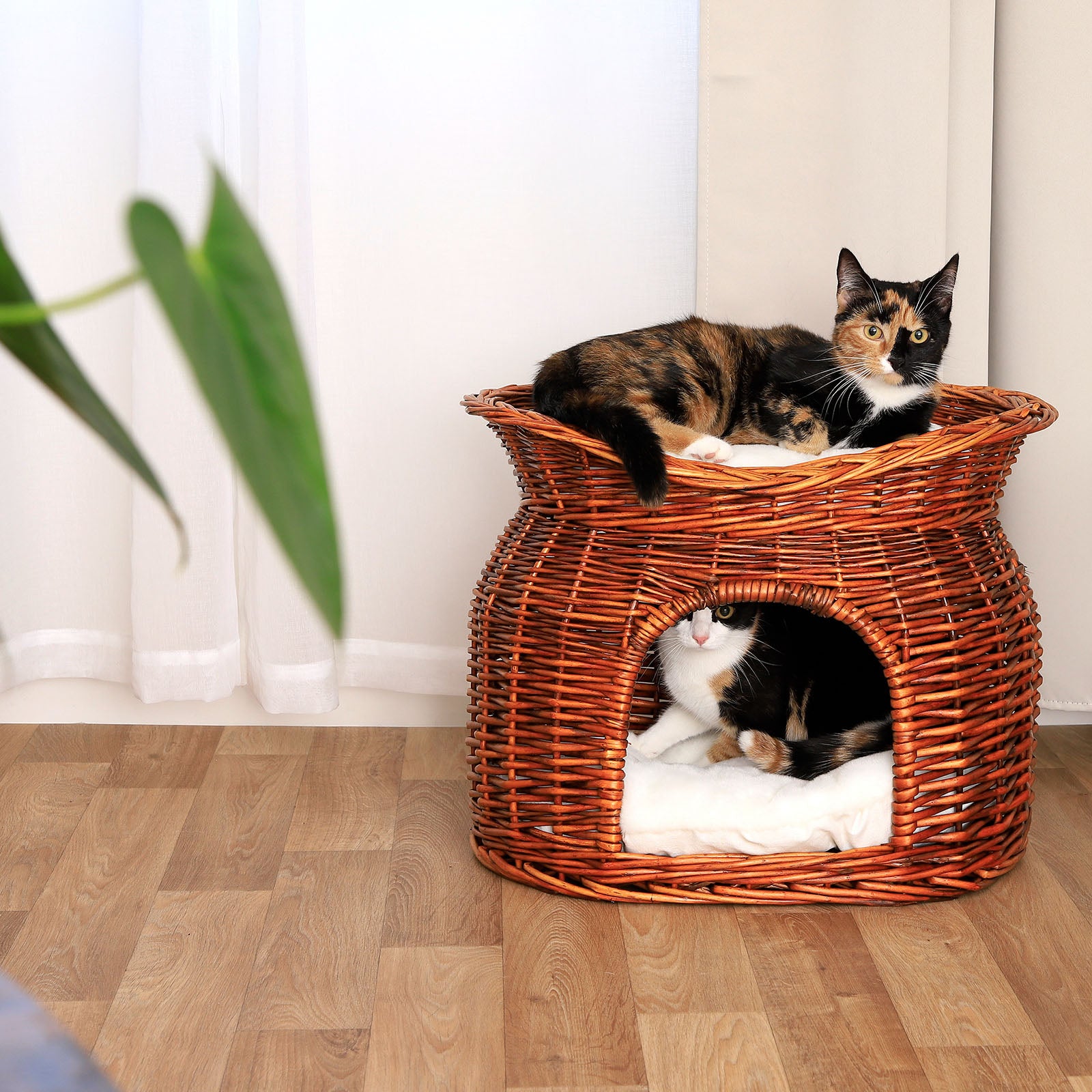 Gevlochten kattenmand wilg Kattenhol met kussen diverse kleuren 55x39x43 cm