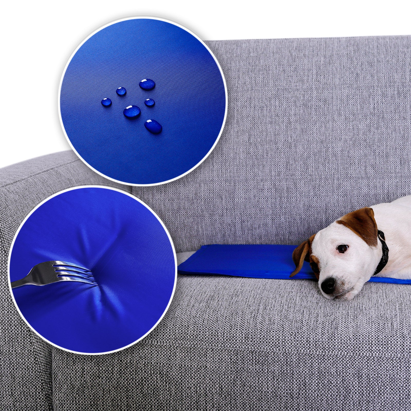 Hund liegt auf Kühlmatte auf der Couch, welche Wasserabweisend und Kratzfest ist