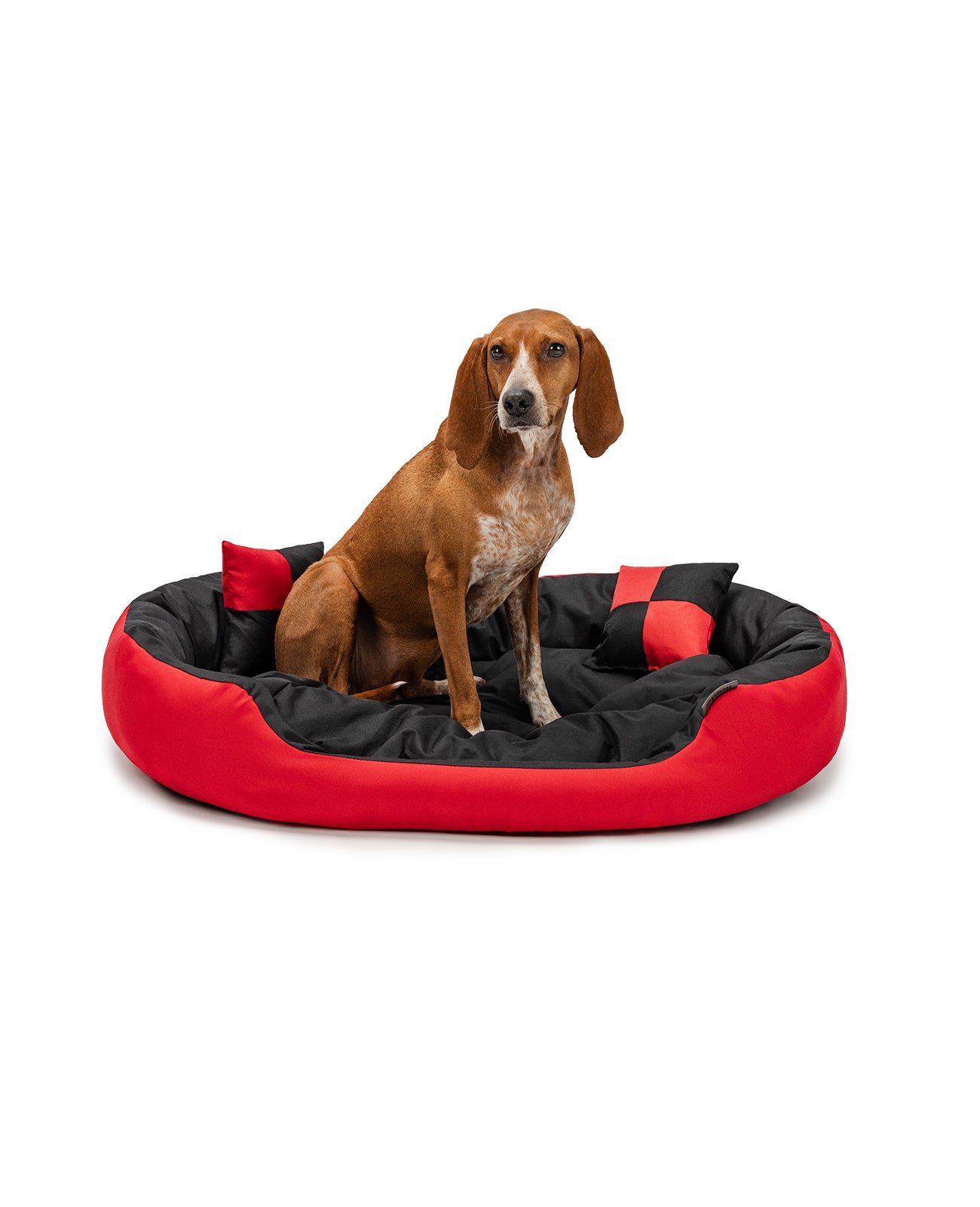 Segugio sitzt in Hundebett aus Oxfordgewebe mit Wendekissen in rot/schwarz