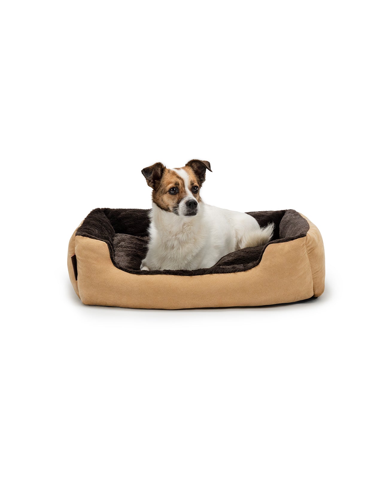 Hund liegt in Hundekissen mit Wendekissen