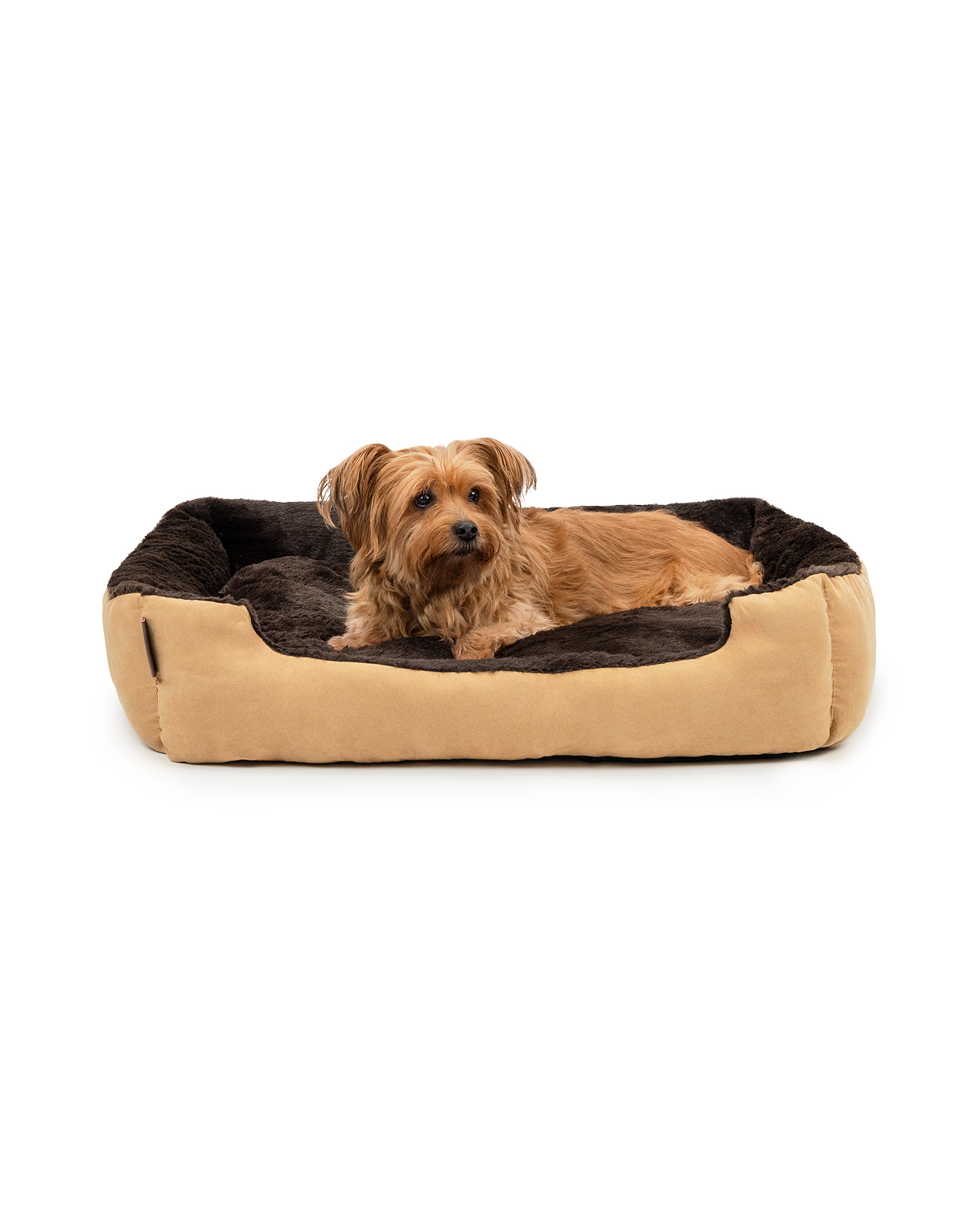 Hund liegt in Hundekissen mit Wendekissen