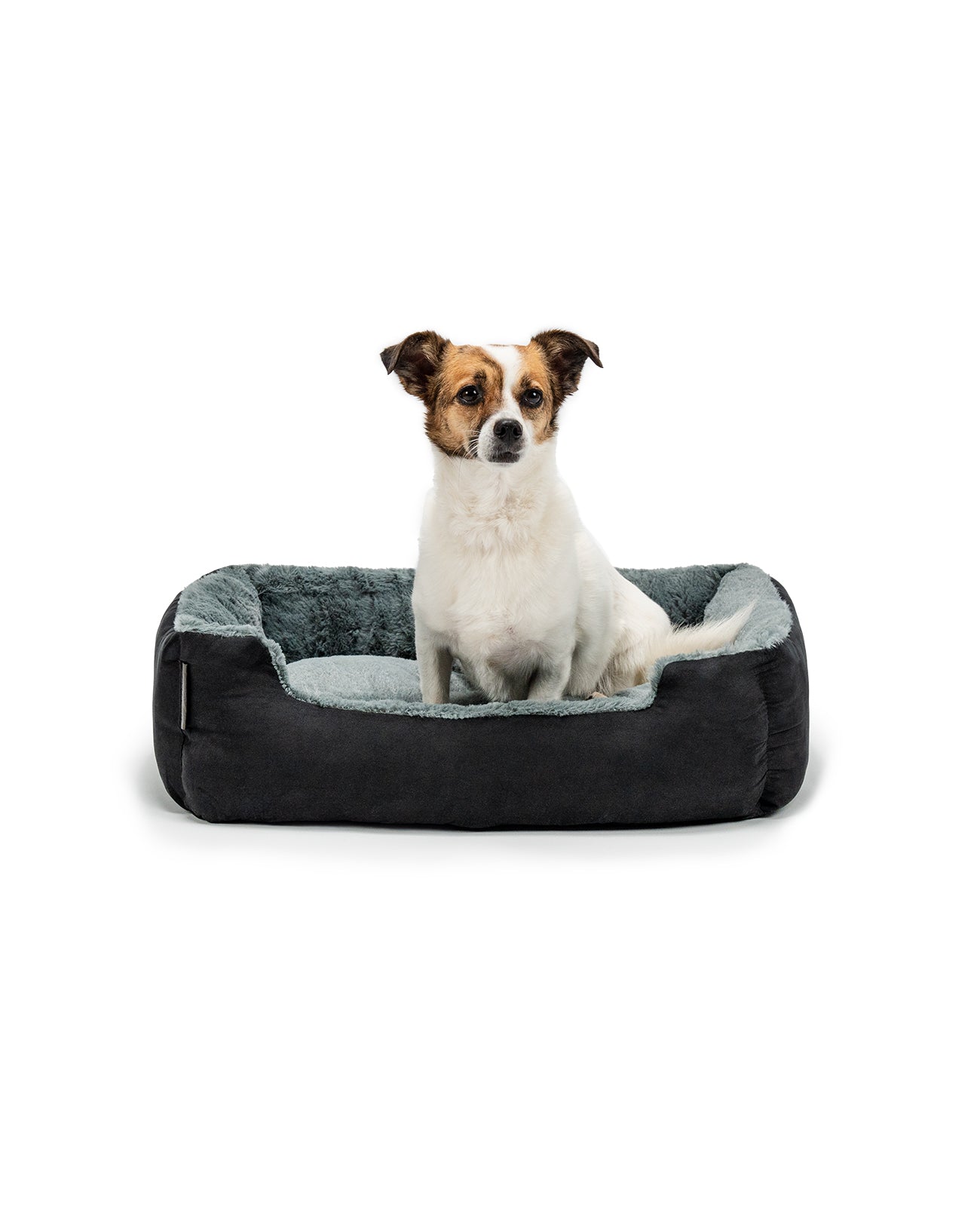 Hund sitzt in Hundekissen mit Wendekissen