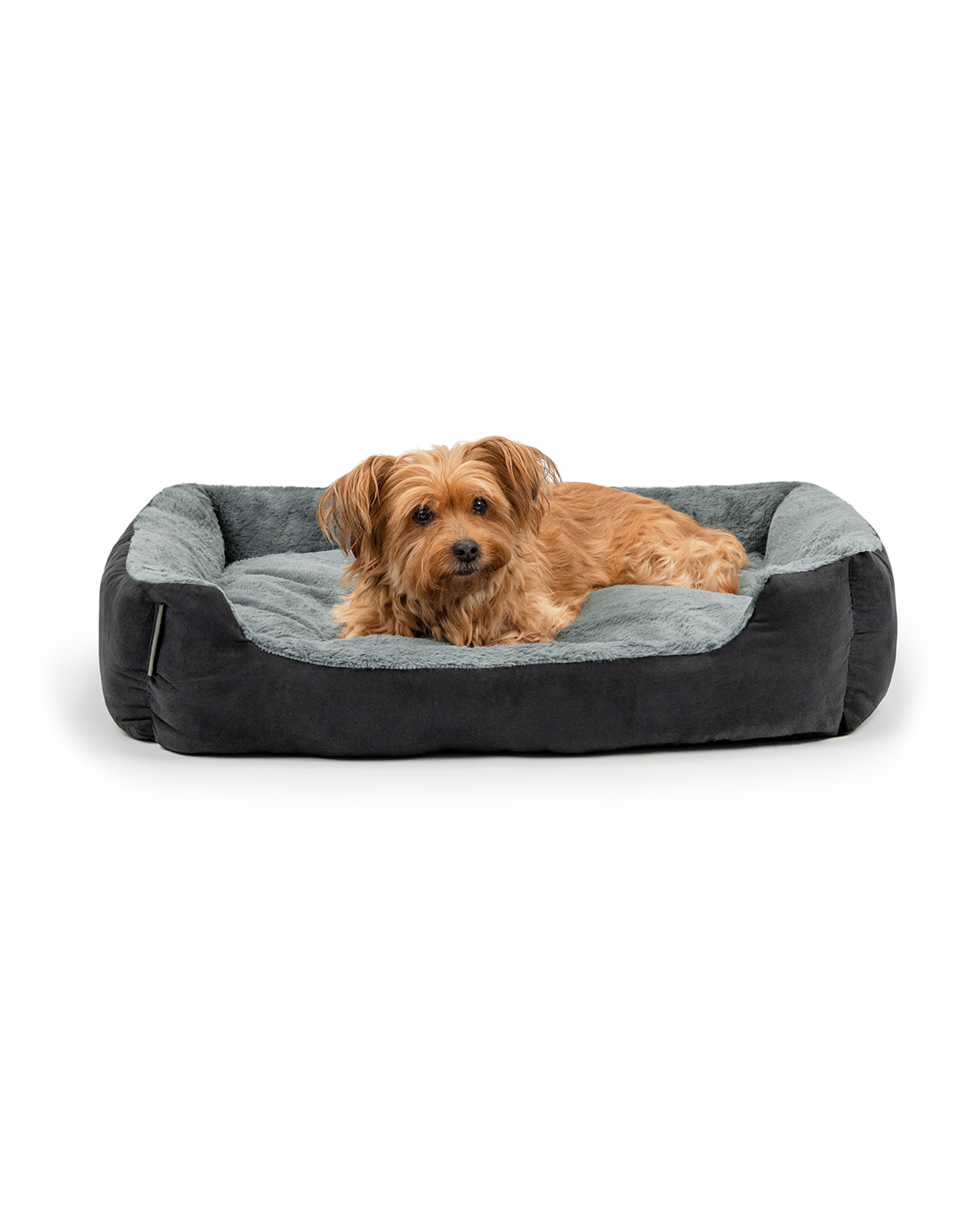 Hund liegt in Hundekissen mit Wendekissen
