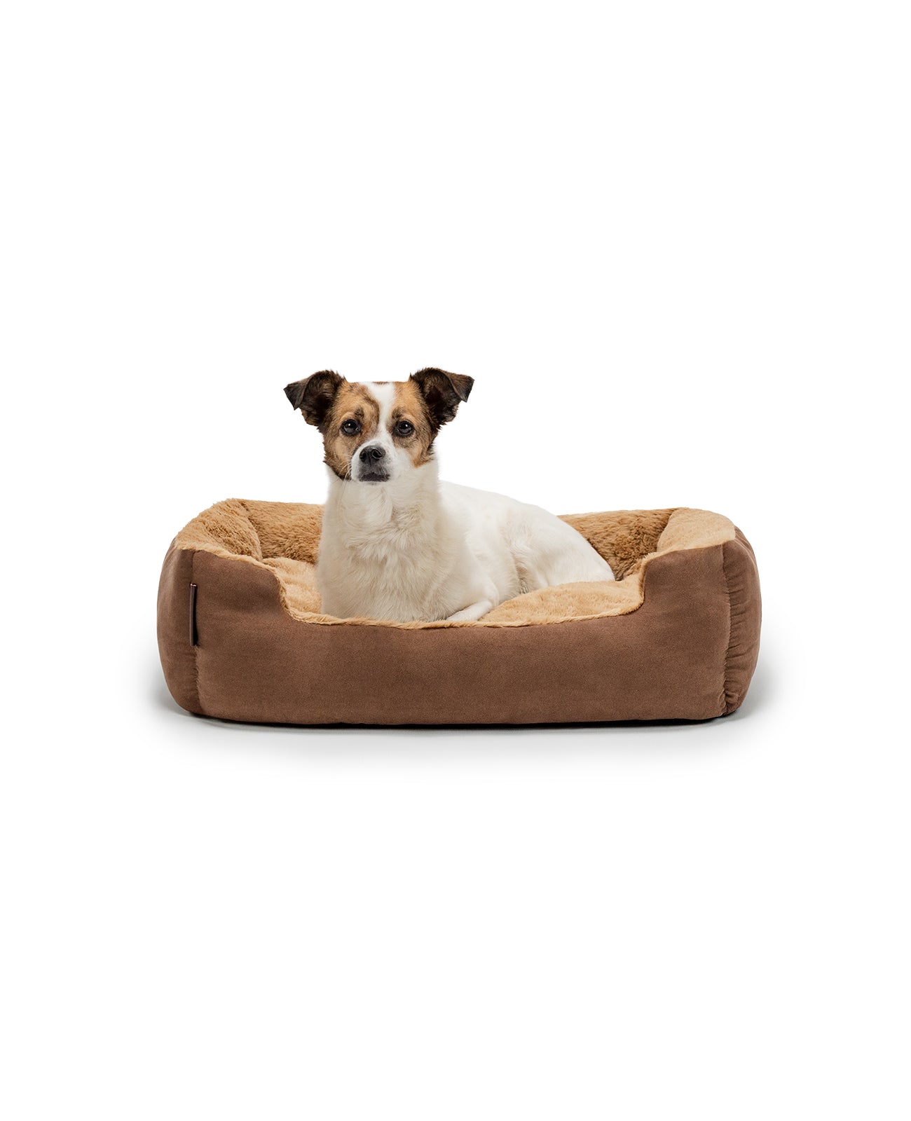 Hund liegt in meliertem Hundebett mit Wendekissen