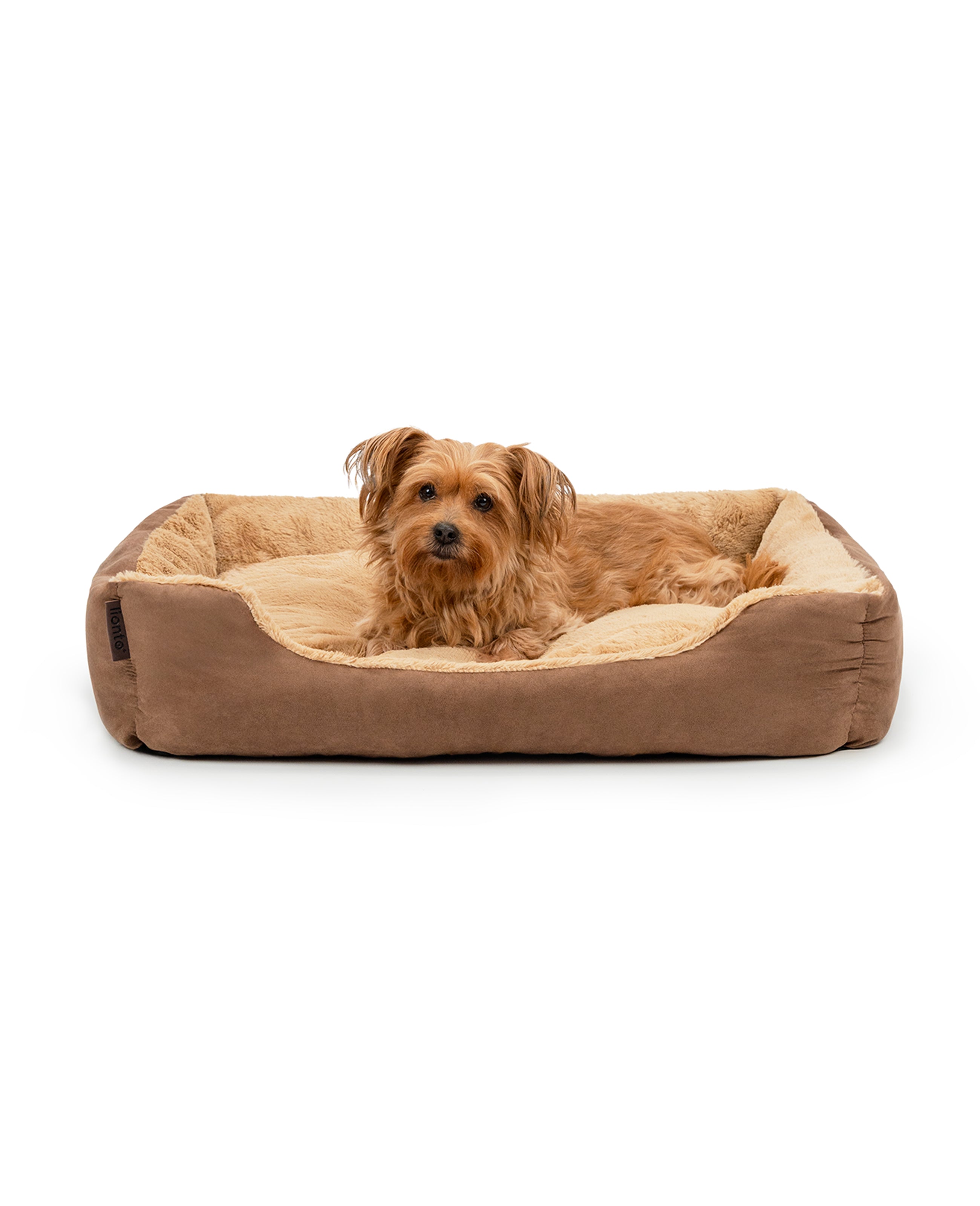 Hund liegt in meliertem Hundebett mit Wendekissen