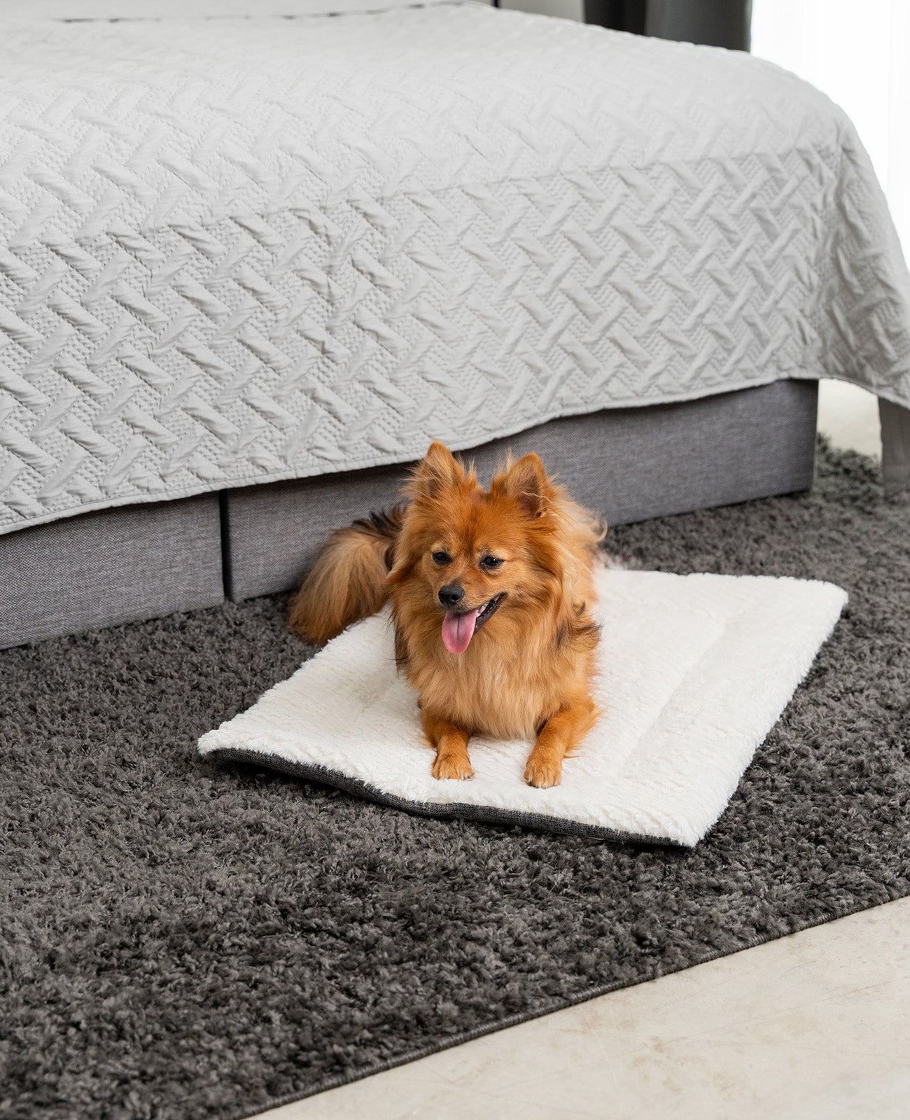 Omkeerbare deken voor honden