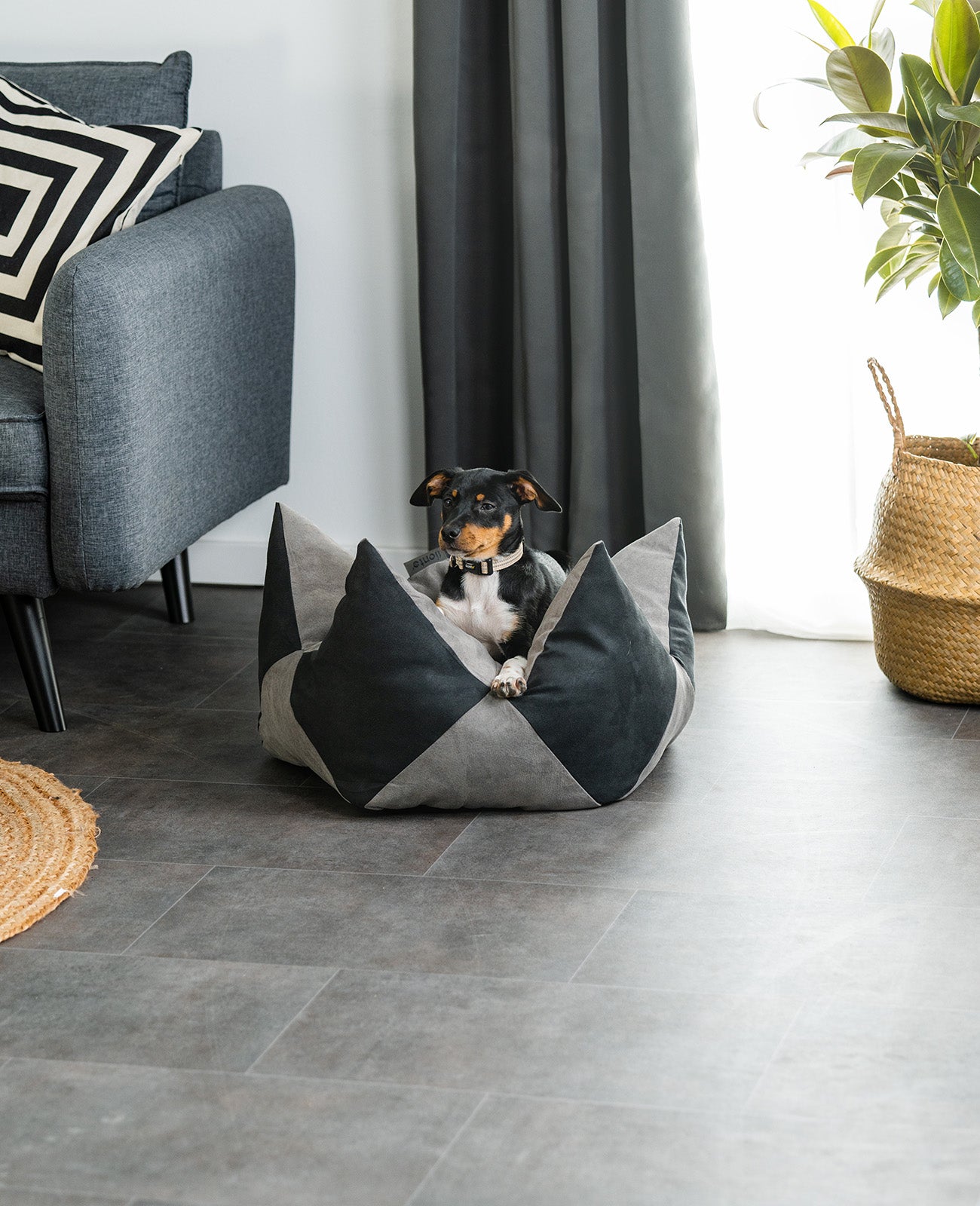 Kroonkussens voor honden
