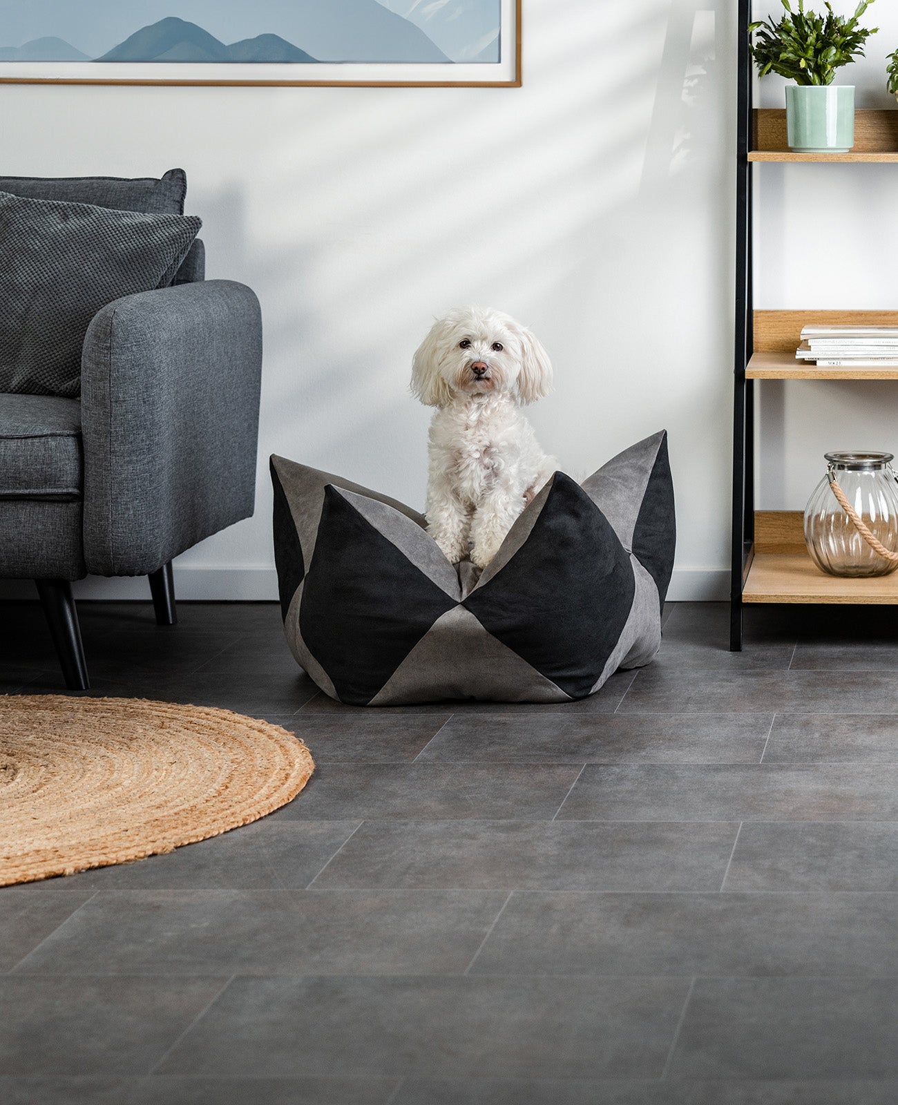 Kroonkussens voor honden