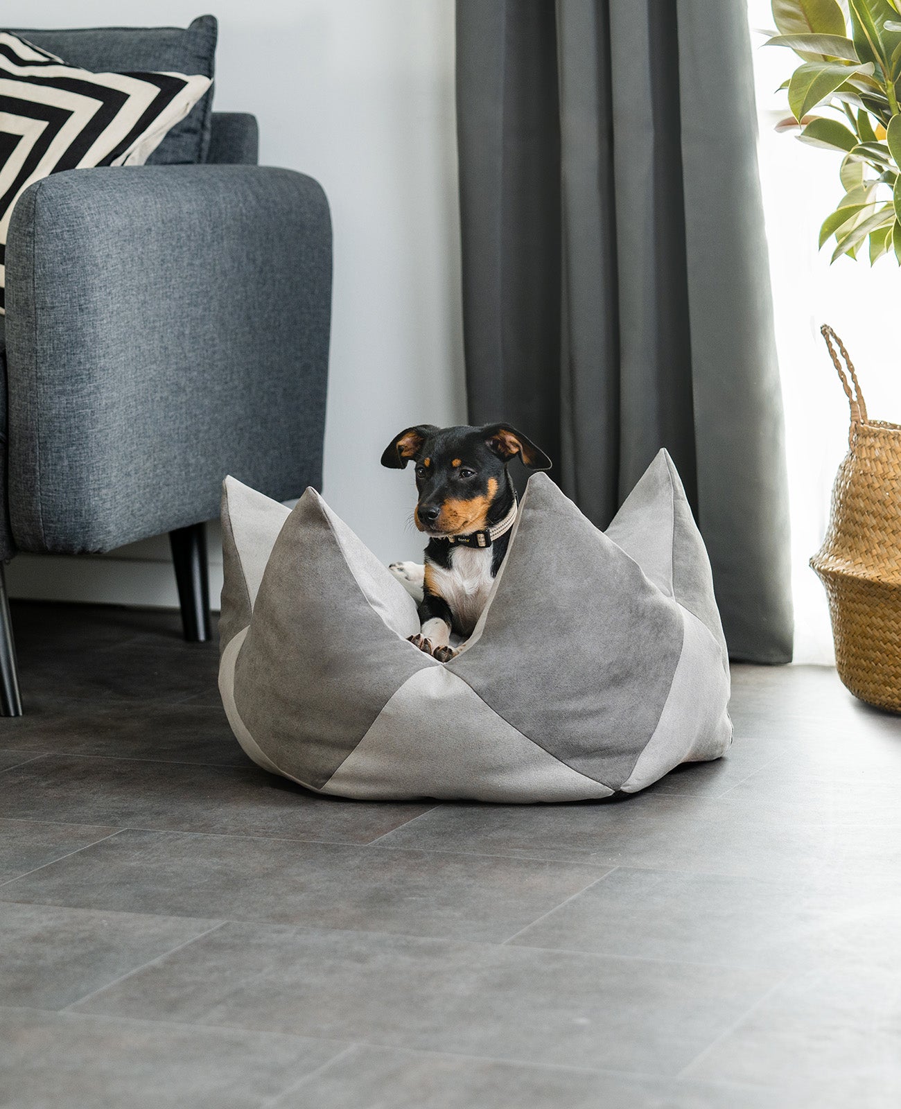 Kroonkussens voor honden