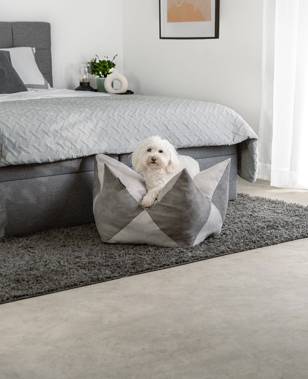 Kroonkussens voor honden