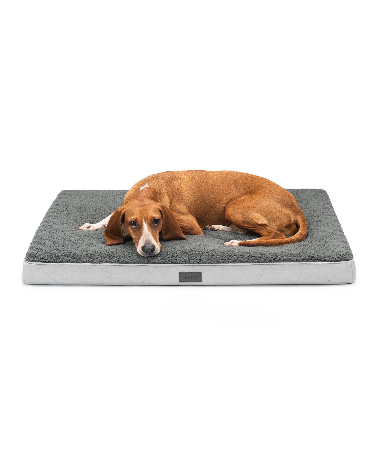 lionto hondenbed orthopedisch, voor honden & katten, verschillende designs
