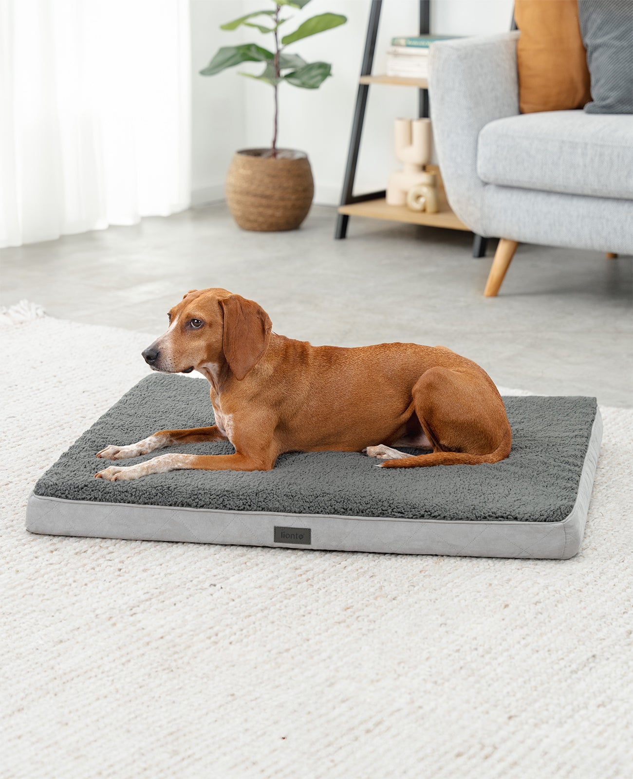 lionto hondenbed orthopedisch, voor honden & katten, verschillende designs