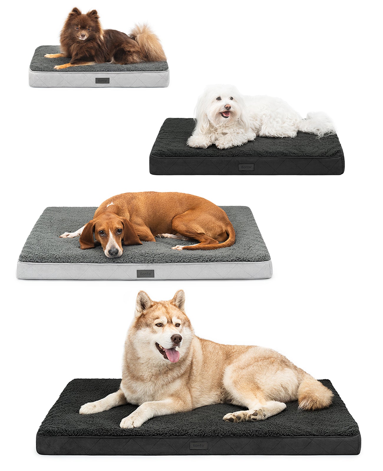 lionto hondenbed orthopedisch, voor honden & katten, verschillende designs