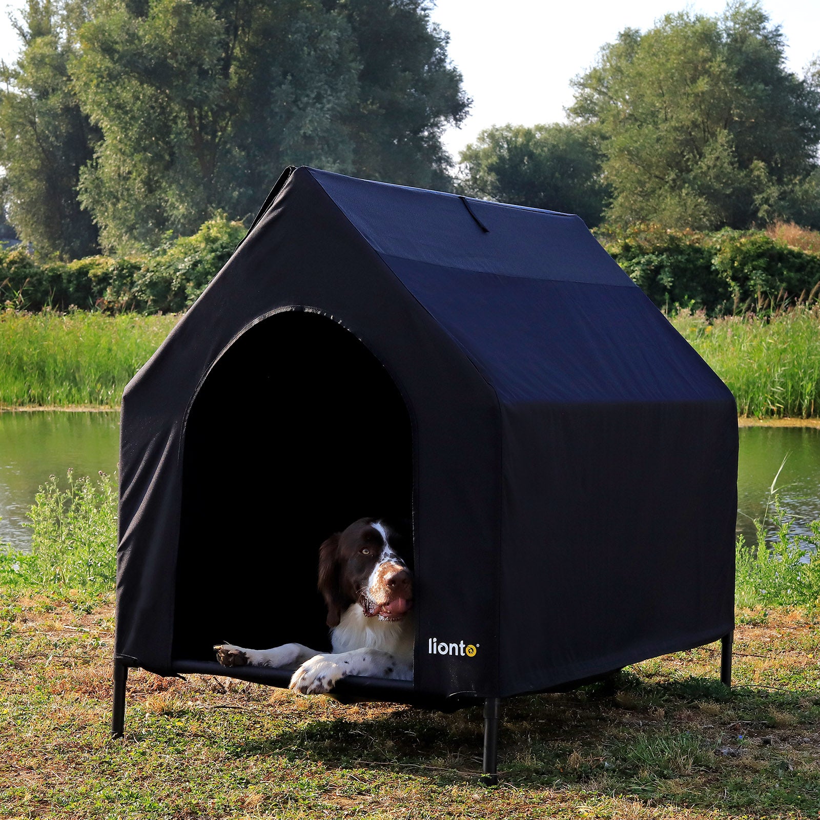 Verhoogd hondenbed met dak