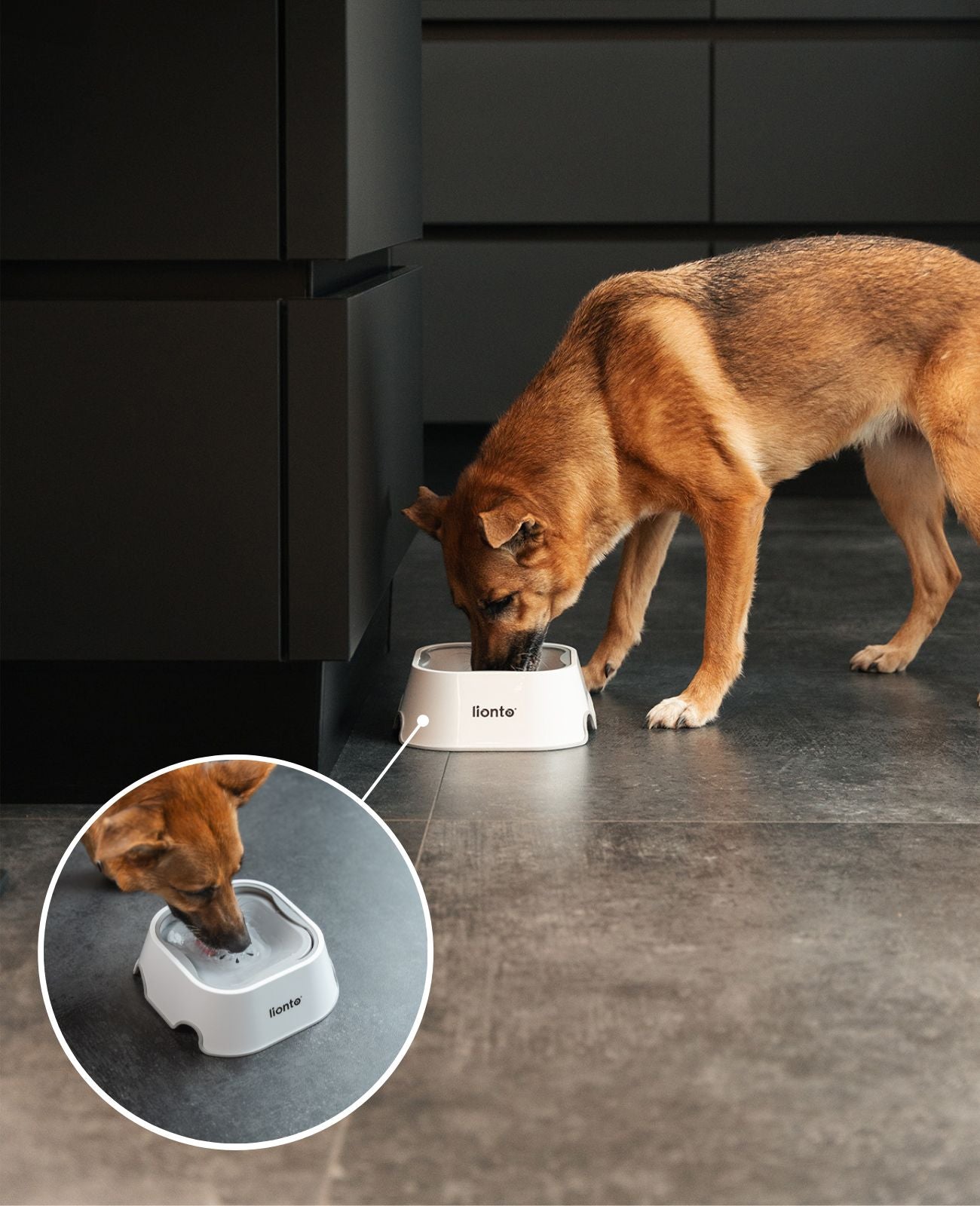 Anti-Schlabber-Napf, 1 Liter