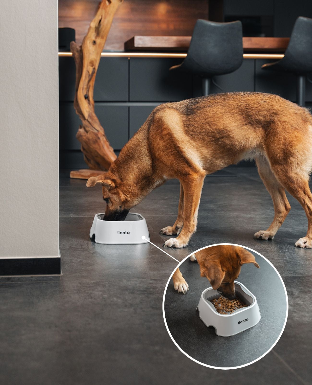 Anti-Schlabber-Napf, 1 Liter