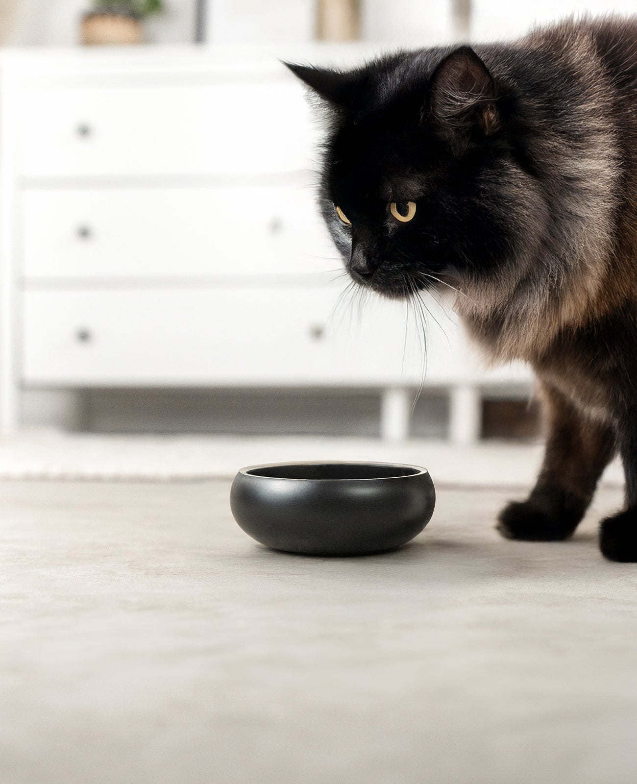 Katzennapf aus Edelstahl, gewölbt