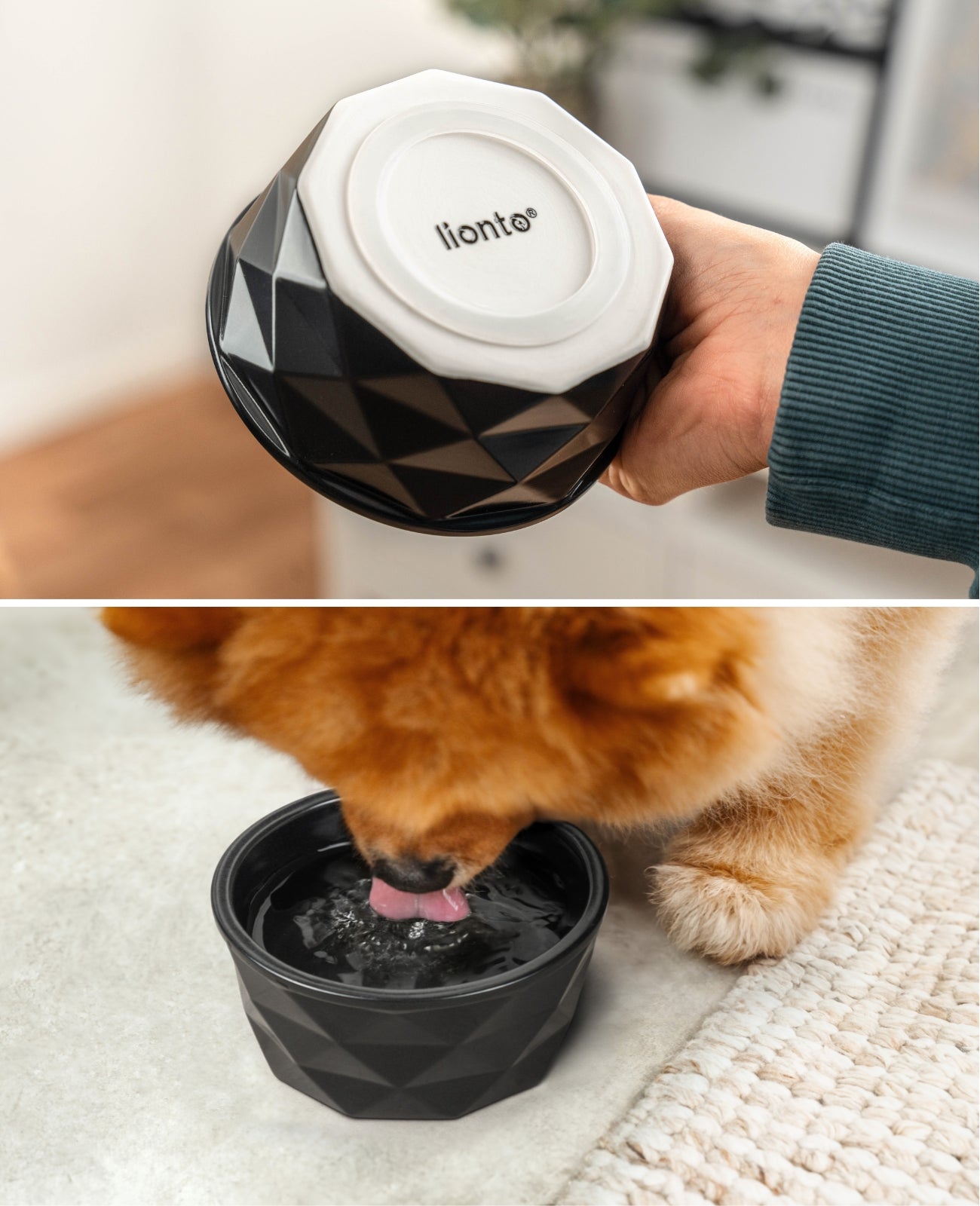 Hundenapf aus Keramik