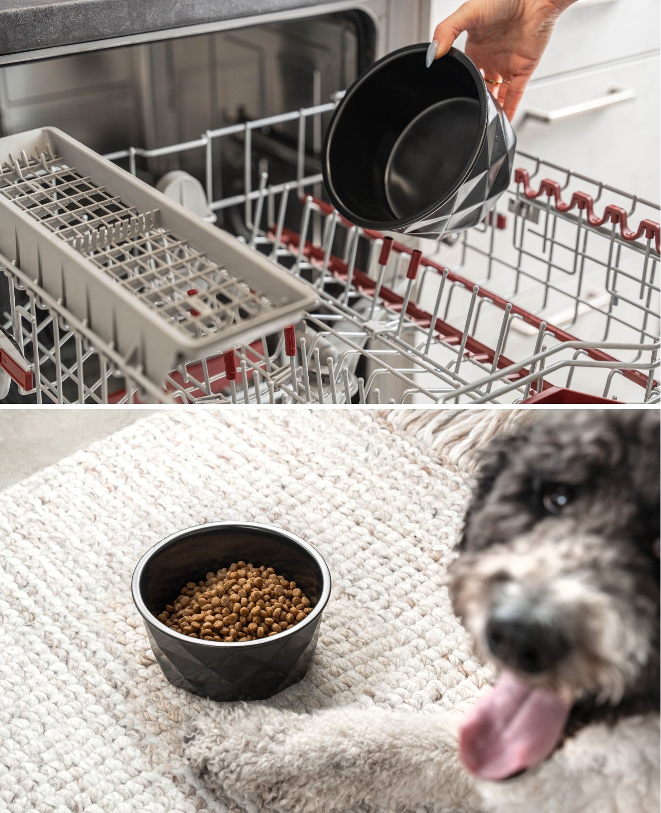 Hundenapf aus Keramik