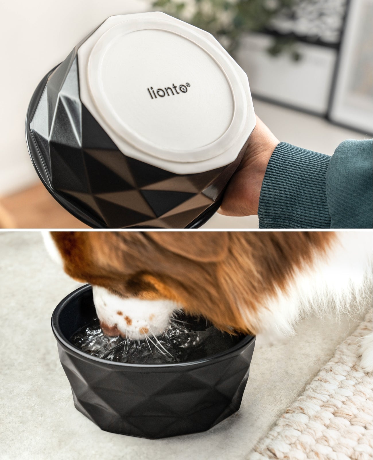 Hundenapf aus Keramik