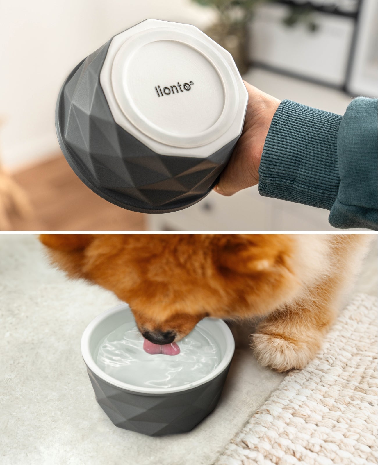 Hundenapf aus Keramik