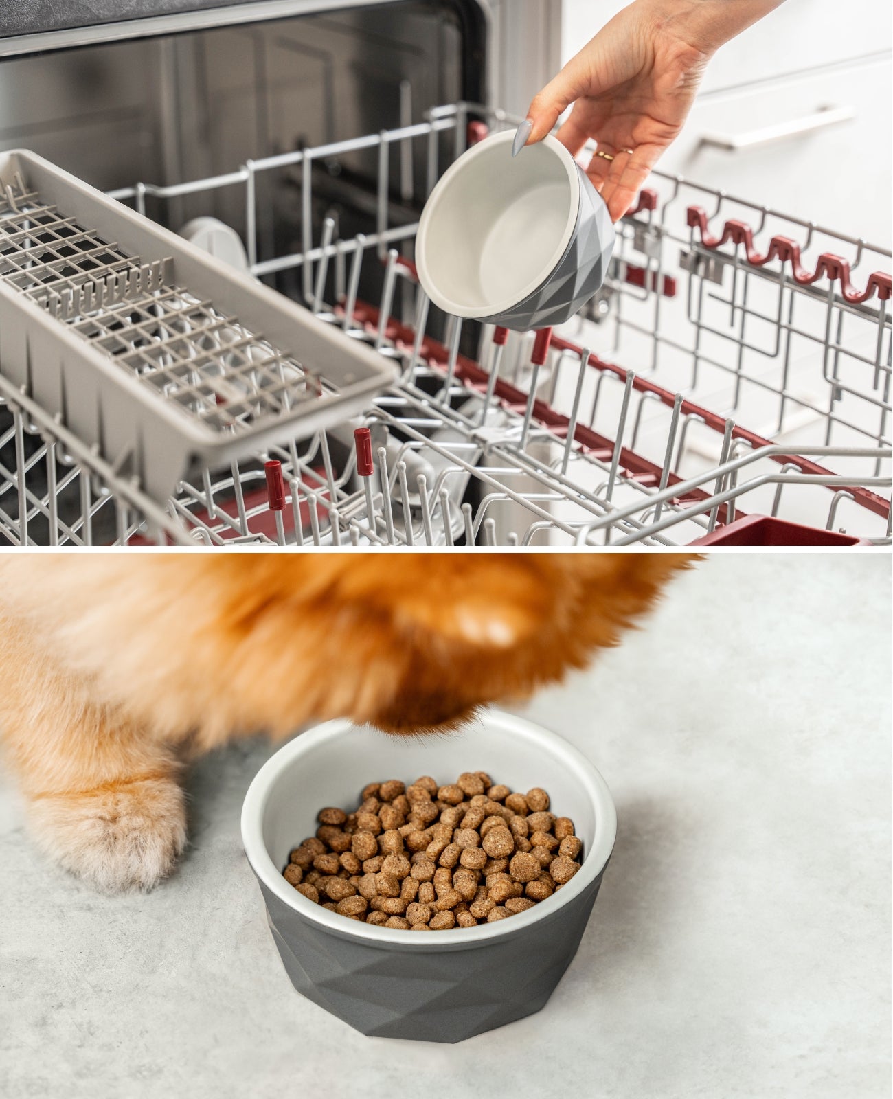 Hundenapf aus Keramik