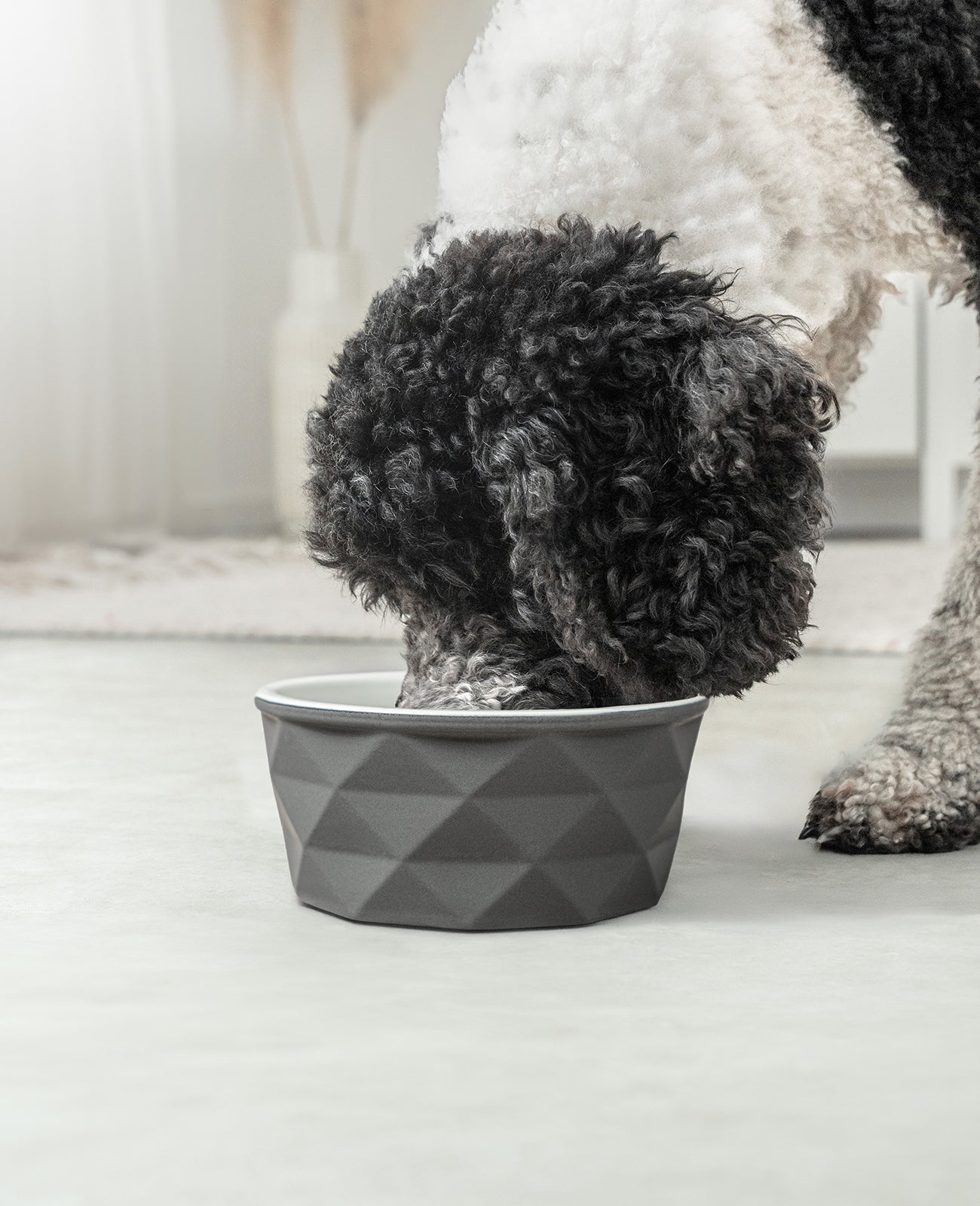 Hundenapf aus Keramik