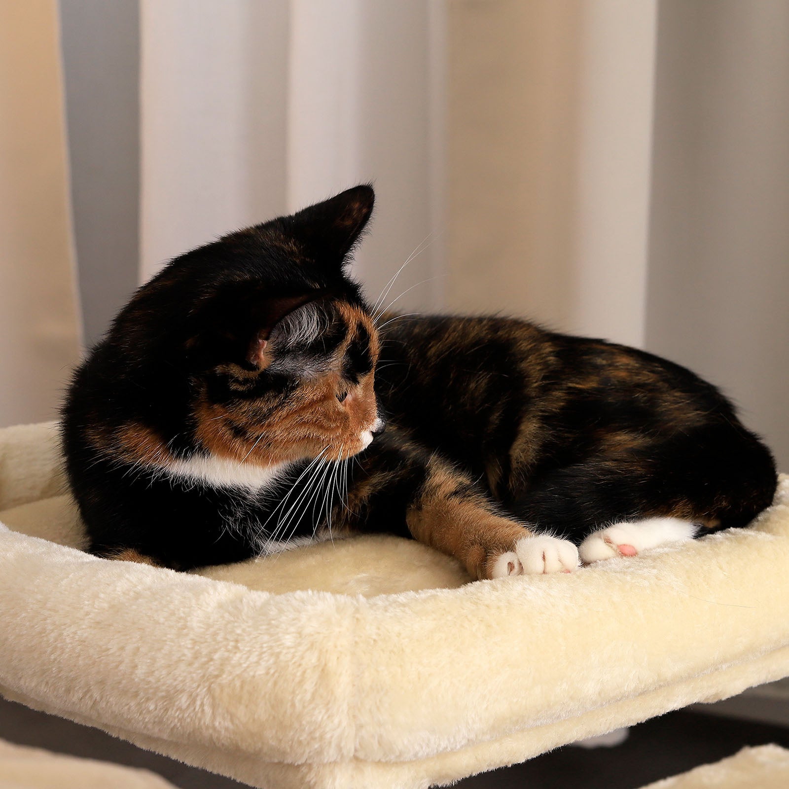 Krabboom klimboom krabpaal kattenboom hoogte 50 cm diverse kleuren