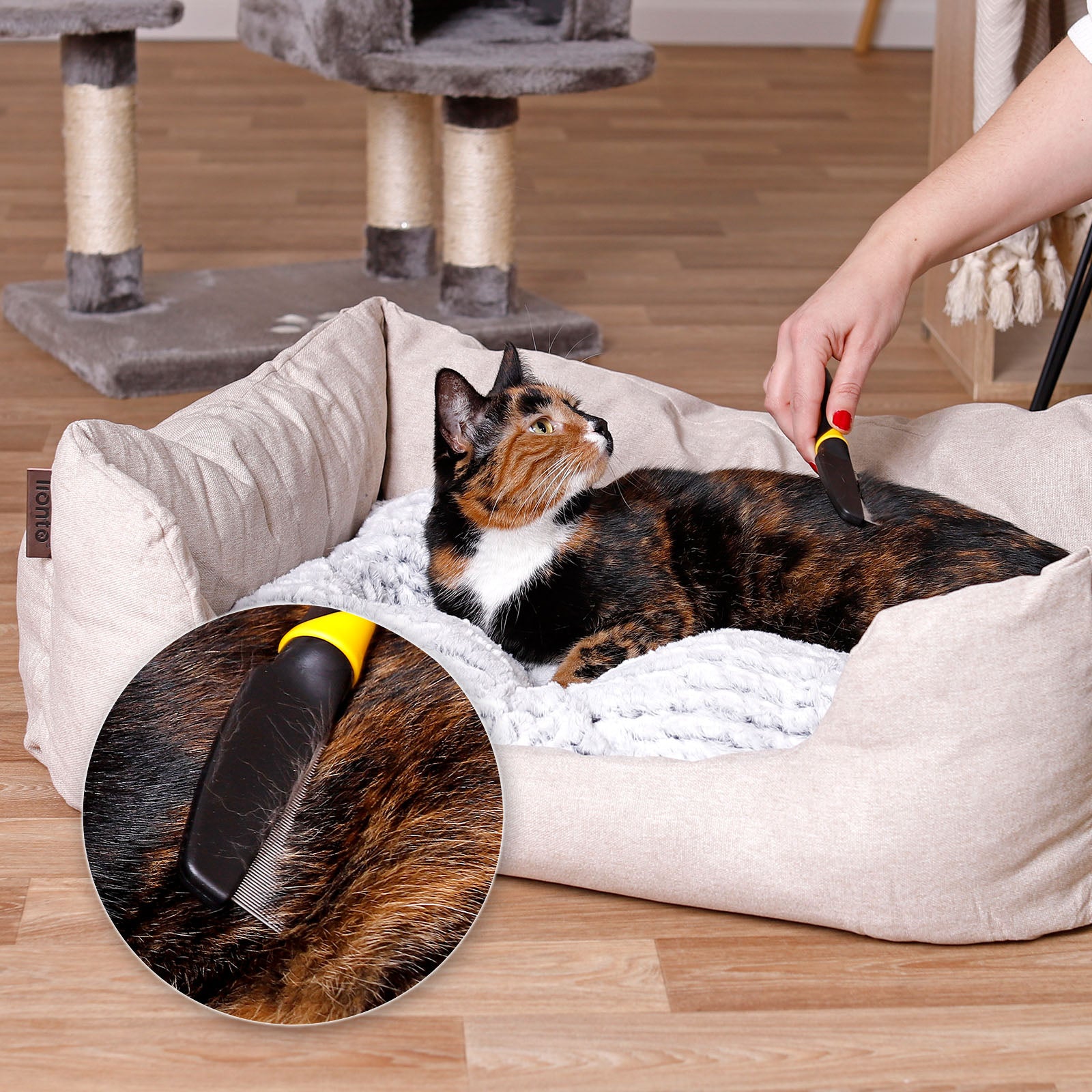 Hondenborstels kattenborstels voor het verzorging verschillende varianten