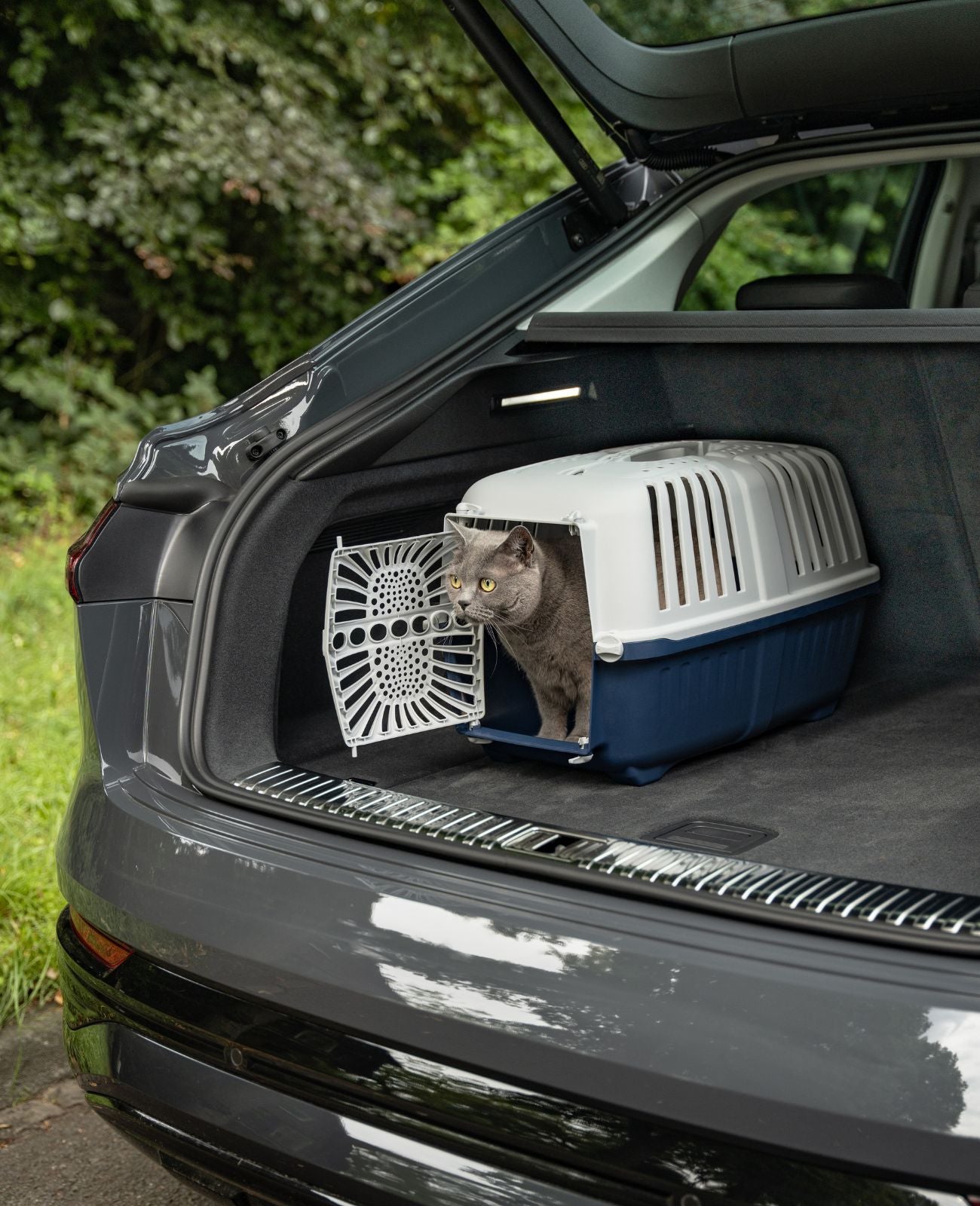 Transportbox voor katten