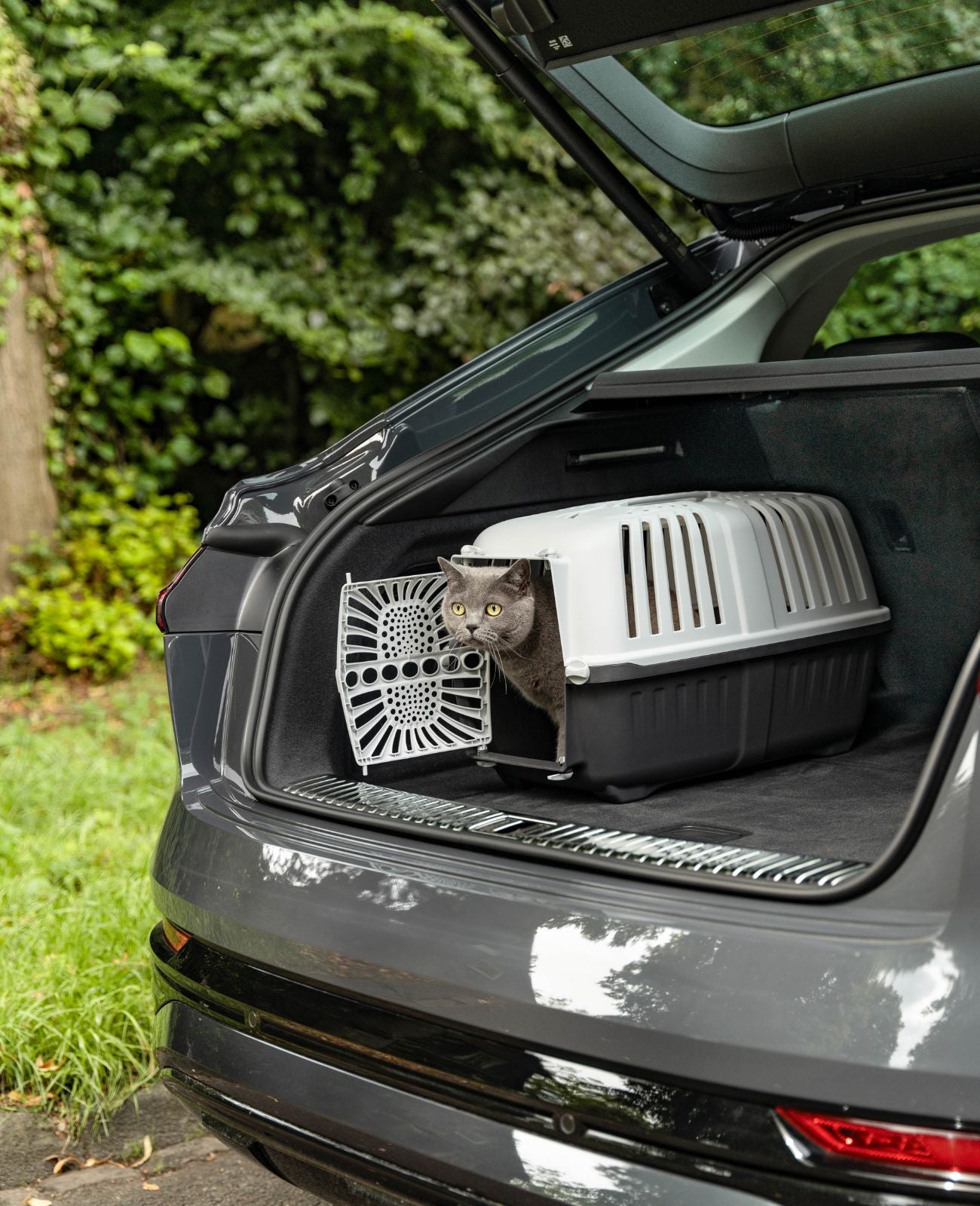 Transportbox voor katten
