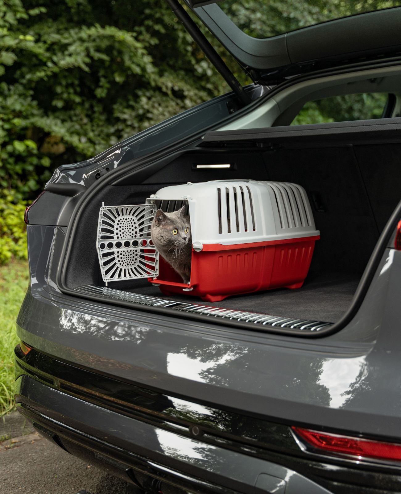 Transportbox voor katten