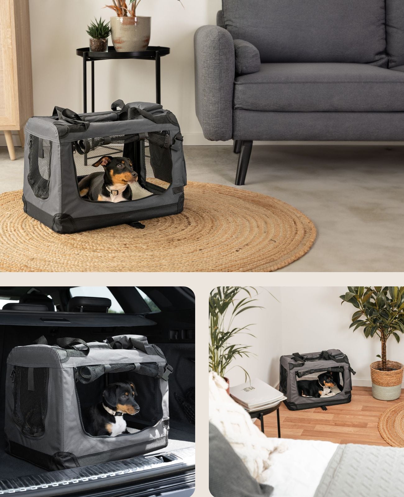 Hundetransportbox faltbar