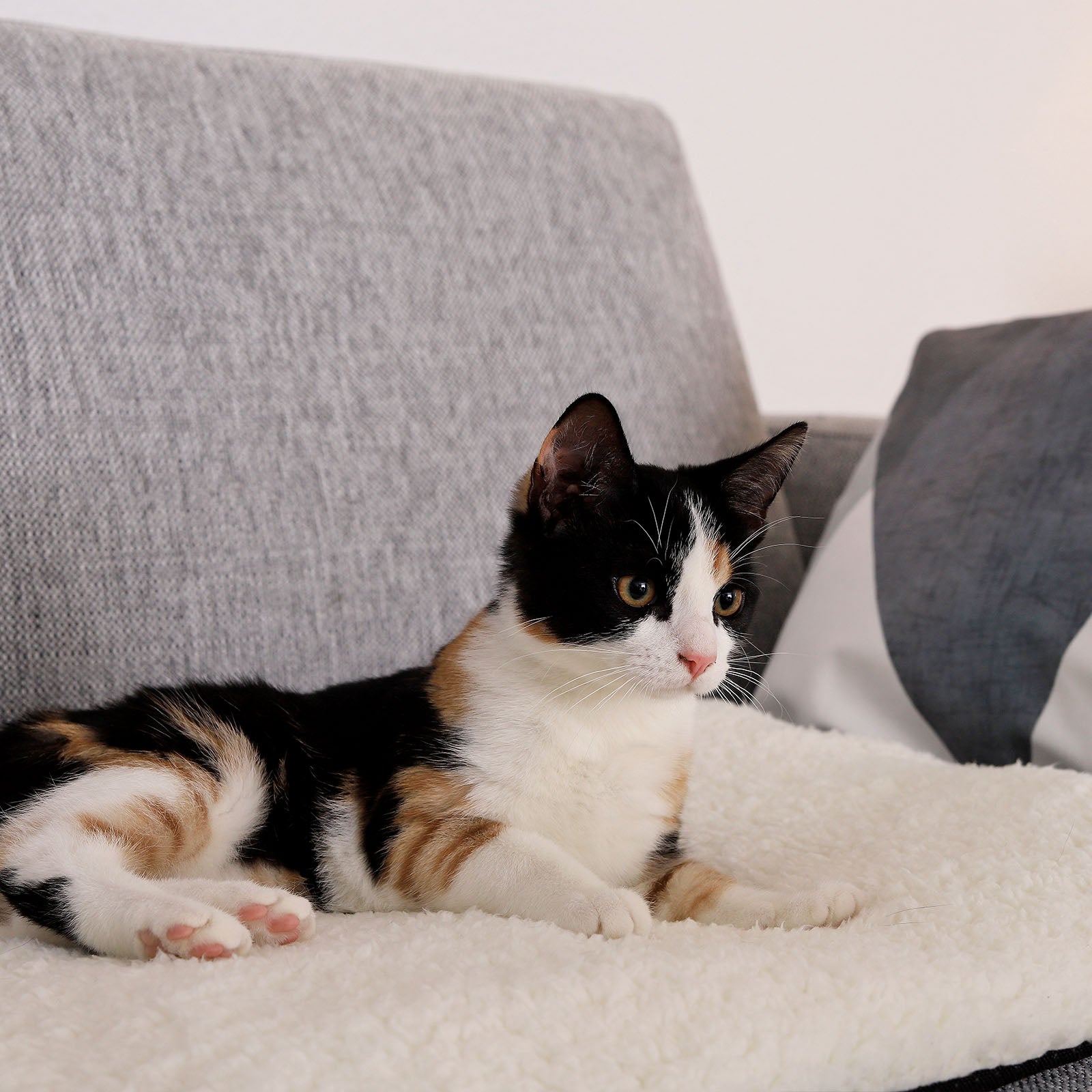 Zelfverwarmende warmtemat voor katten