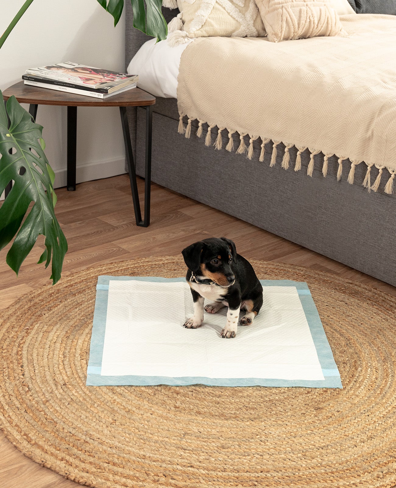 Hygieneunterlage für Welpen, 6-lagig