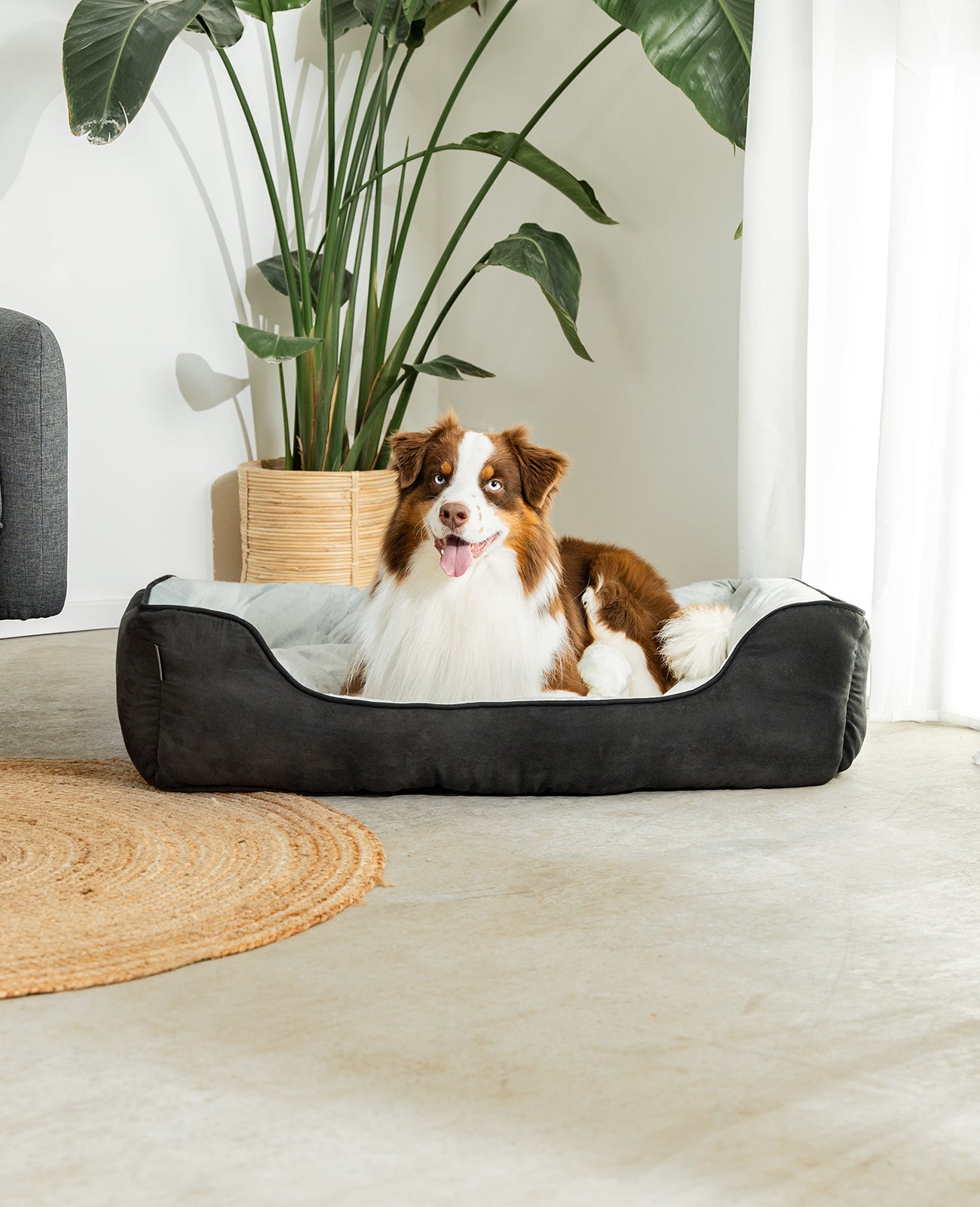2-in-1 Hundebett in Wildlederoptik