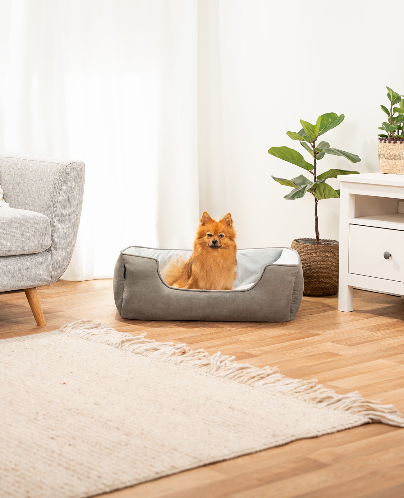 2-in-1 Hundebett in Wildlederoptik