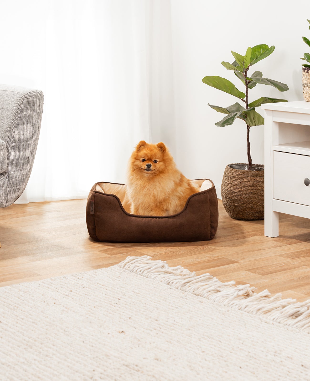 2-in-1 Hundebett in Wildlederoptik