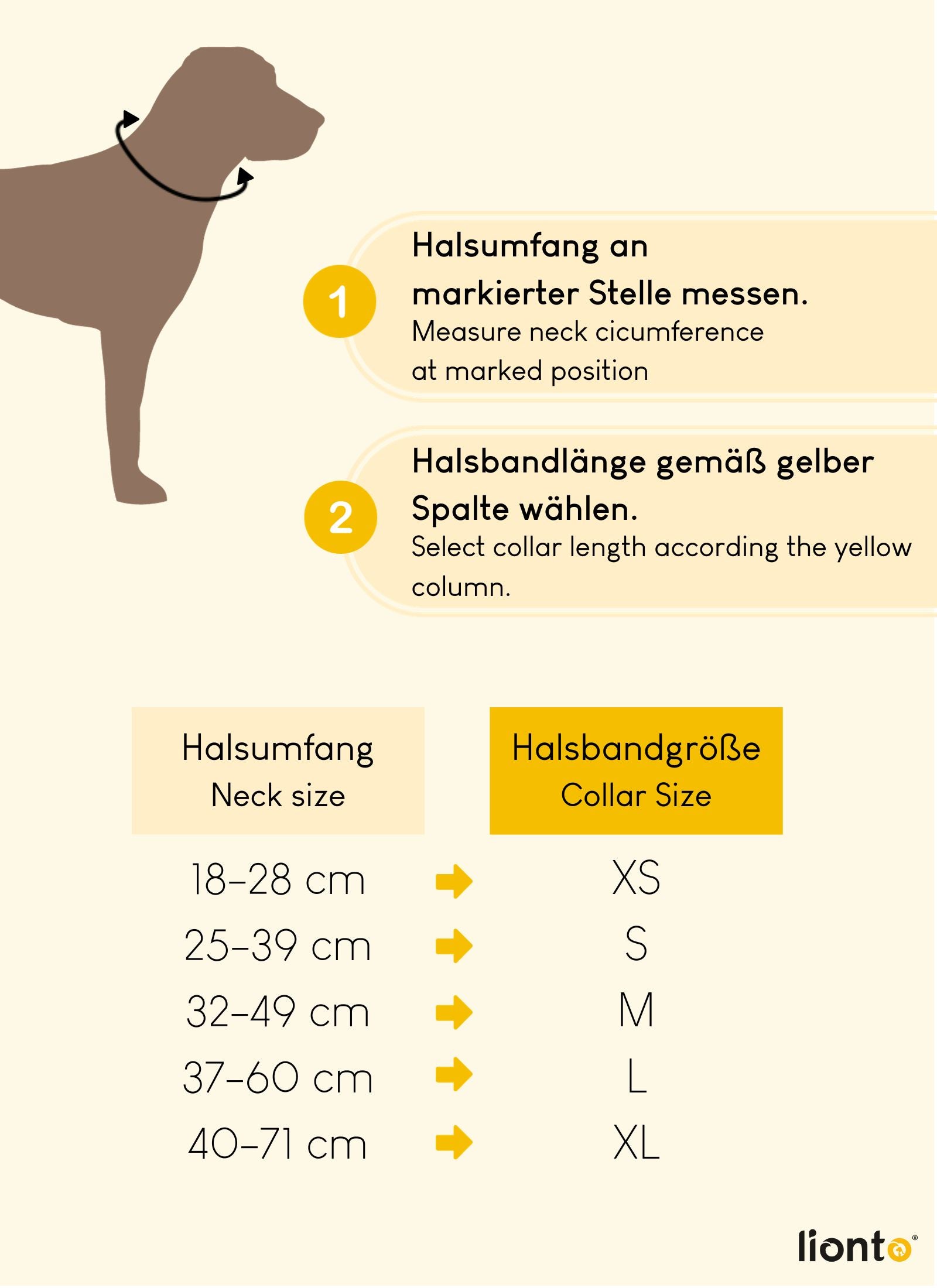 Hundehalsband gepolstert, personalisiert